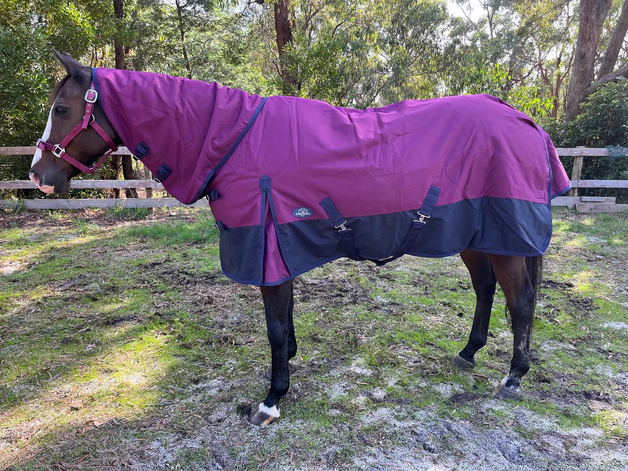1200 D waterproof Combo Rug 300g fill Winter Horse Rug, Assorted colors