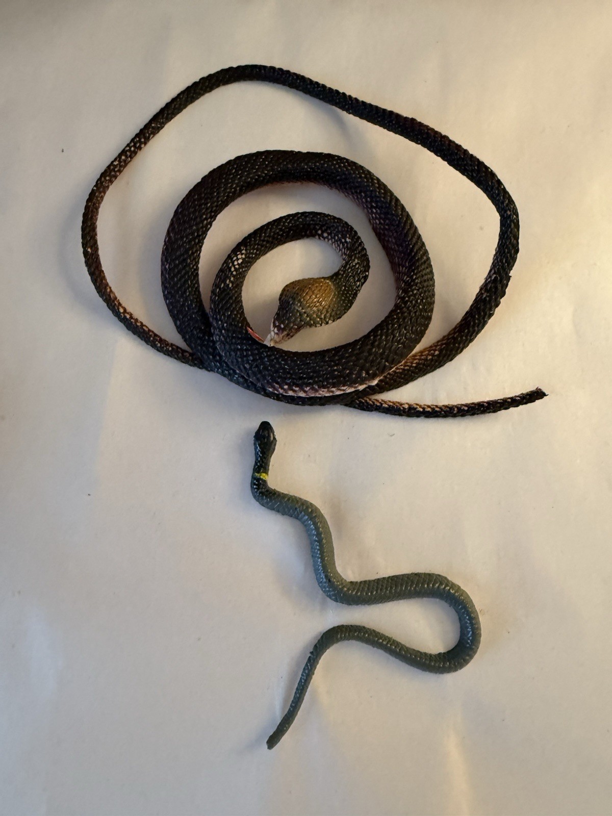 Black Rubber Coiled Snakes set of two