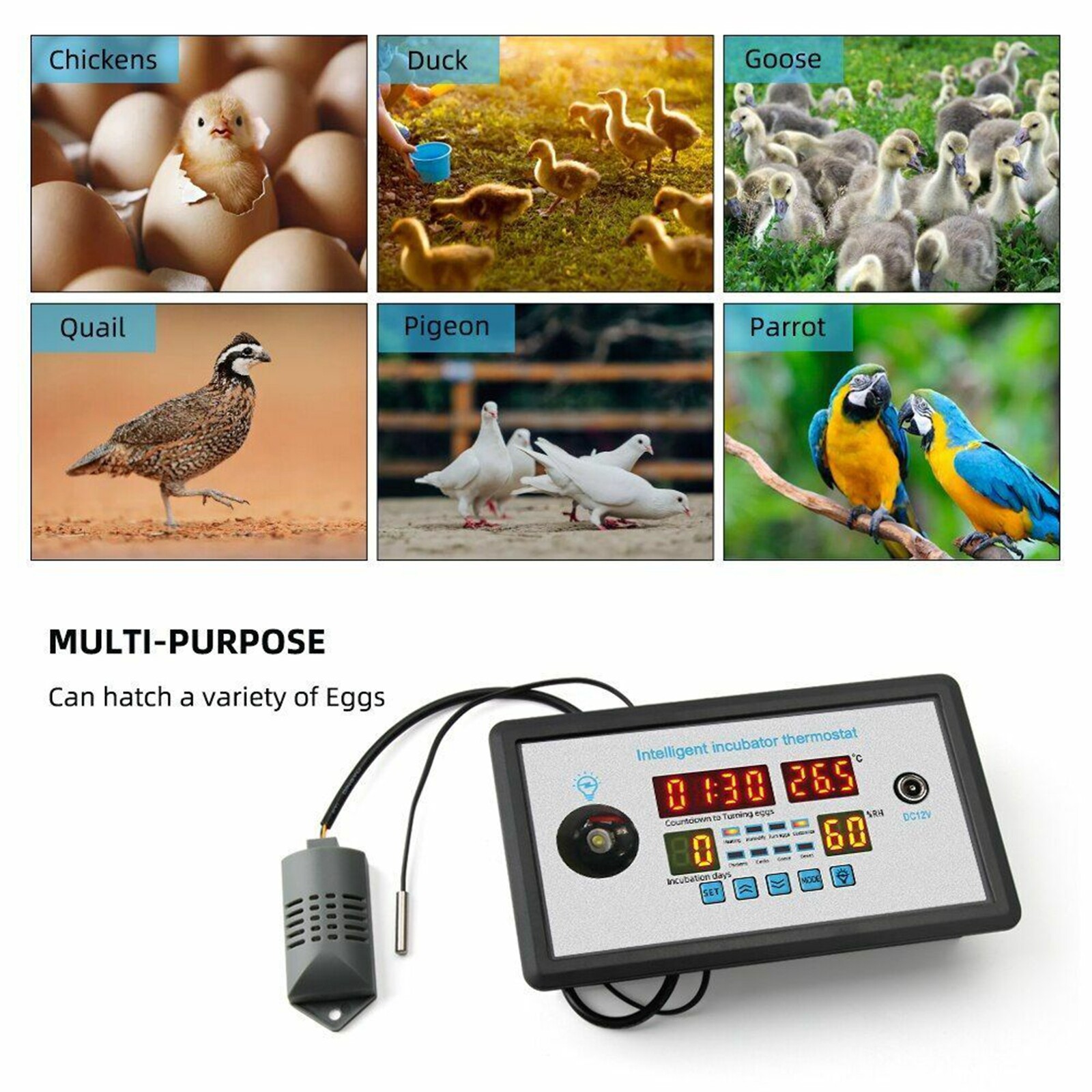 Thermostat Digital Temperature Humidity Automatic Egg Turning Control Incubator