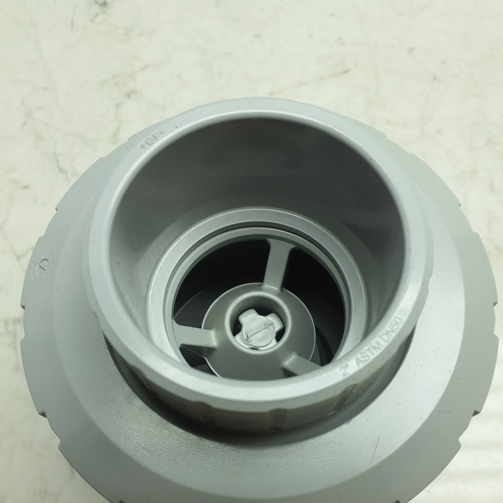 Georg Fischer 163562107 2" Threaded Socket CPVC/EPDM Spring Check Valve *SEE PIC