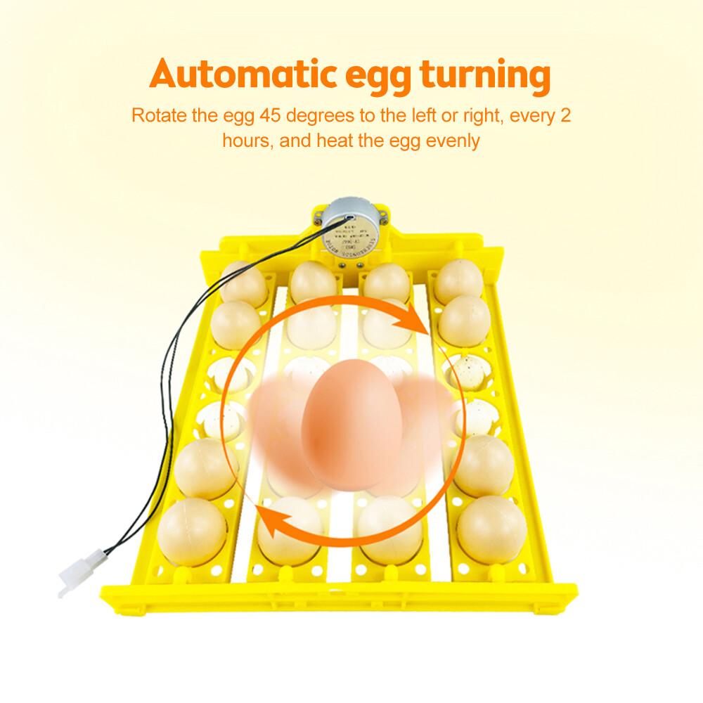 24 Egg Basket Type Incubator Egg Tray Small Incubator Accessories 110V/220V