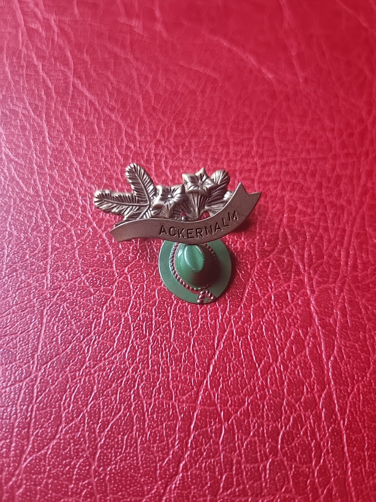 Pin hatpin hiking pin brooch Ackernalm