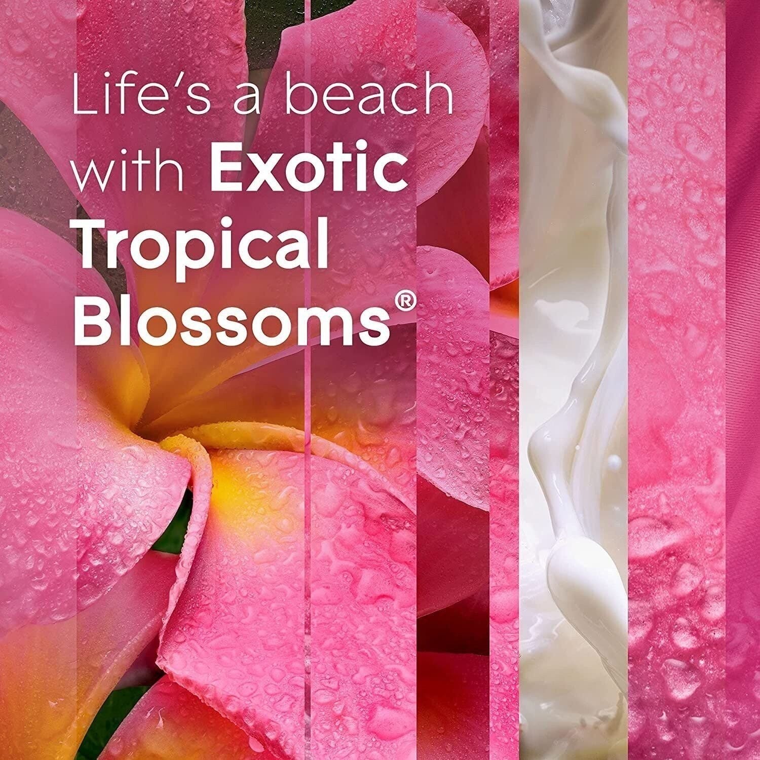 Glade Automatic Spray Refill 2 ct, Exotic Tropical Blossoms, Automatic Spray...