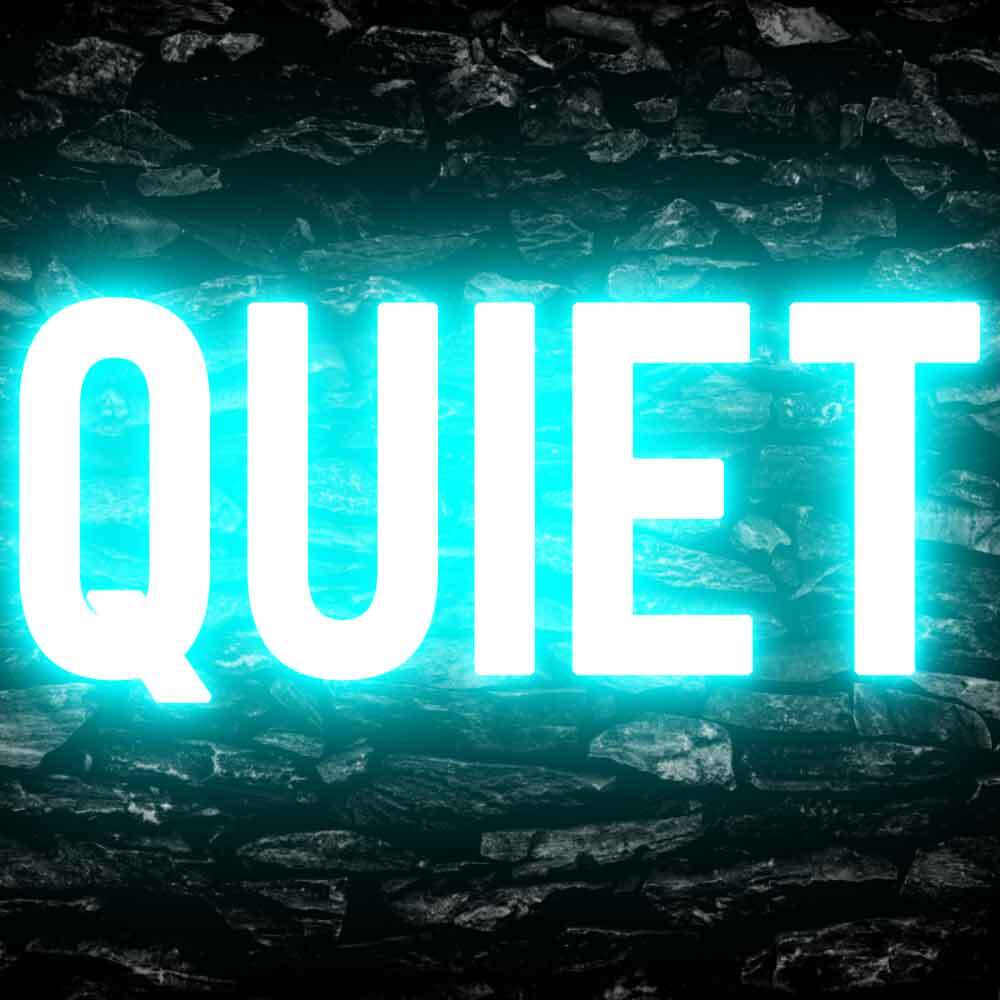 Quiet Please Office Decor Display Flexible Custom Neon Sign