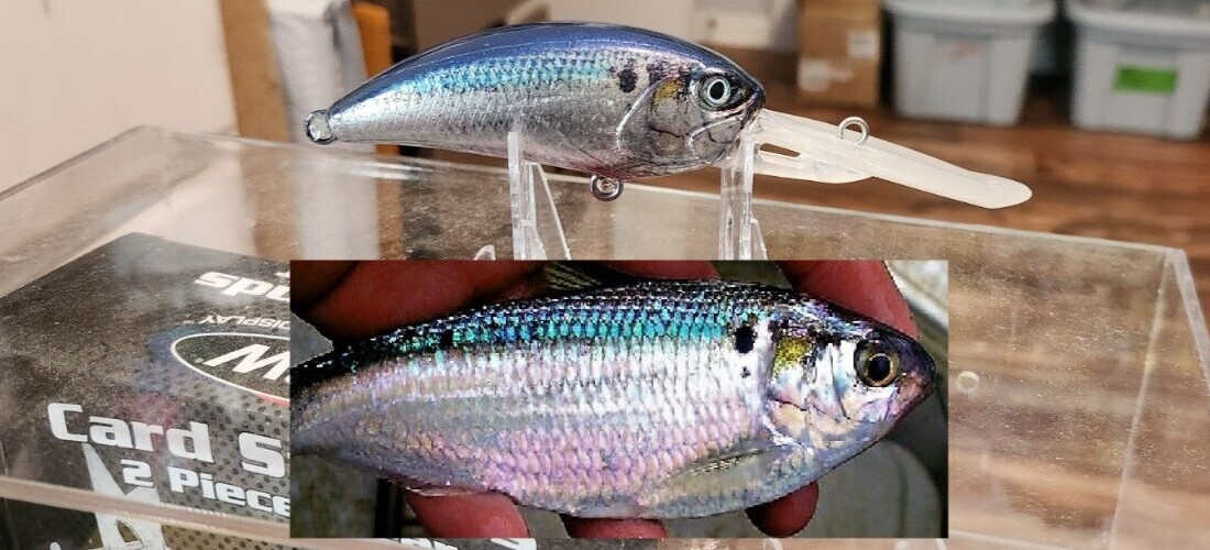 CUSTOM WRAPPED AND PAINTED DUO G 87 CRANKBAIT( SHAD)