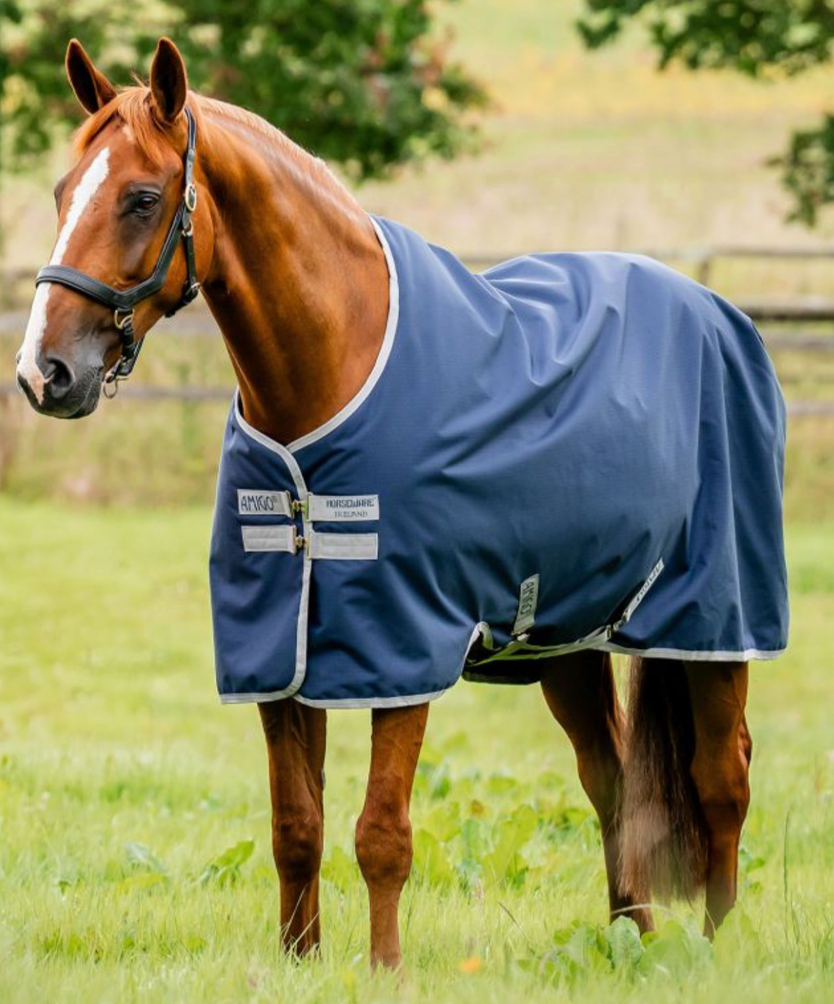 Horseware Ireland Amigo Ripstop 900D Turnout (0g Light)-84"-Navy/Titanium Grey