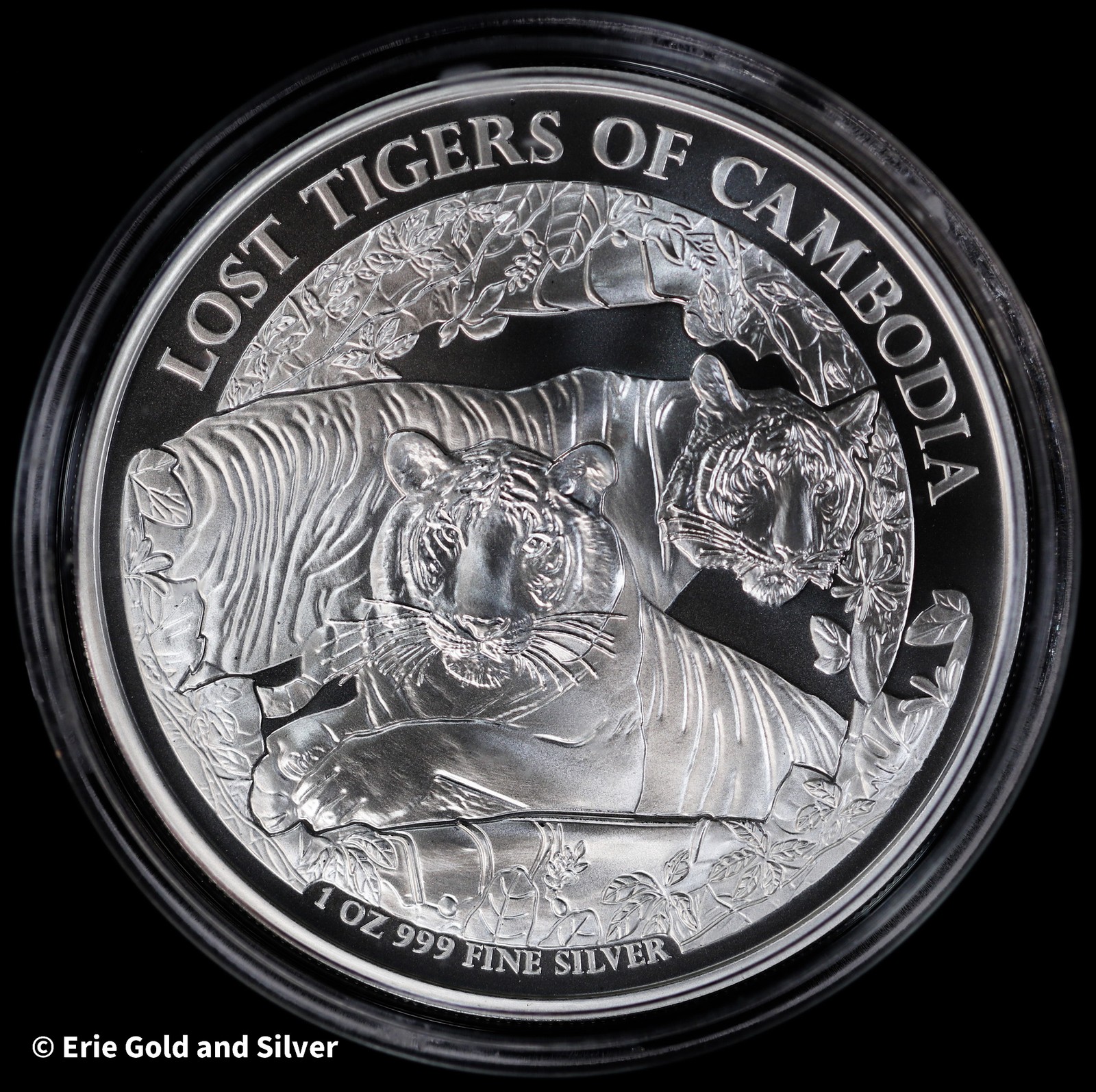 2024 Lost Tigers of Cambodia 1 oz Silver Coin in Capsule