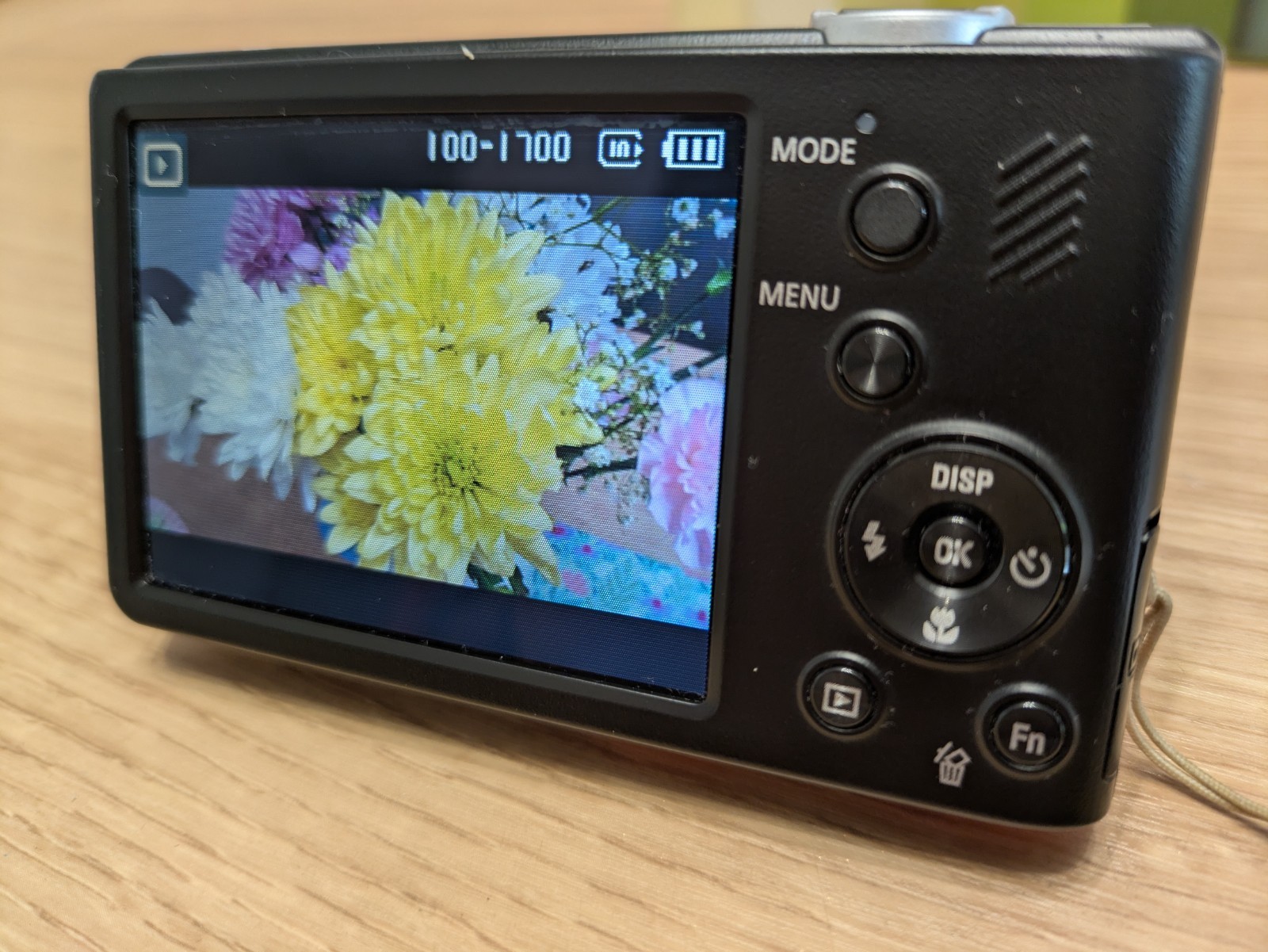 Samsung Digital Camera PL221 16.0MP Red Tested - Boxed with Charging Cable, Case