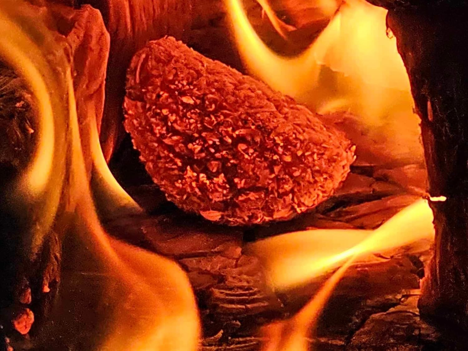 Firestarter for Charcoal Fuel