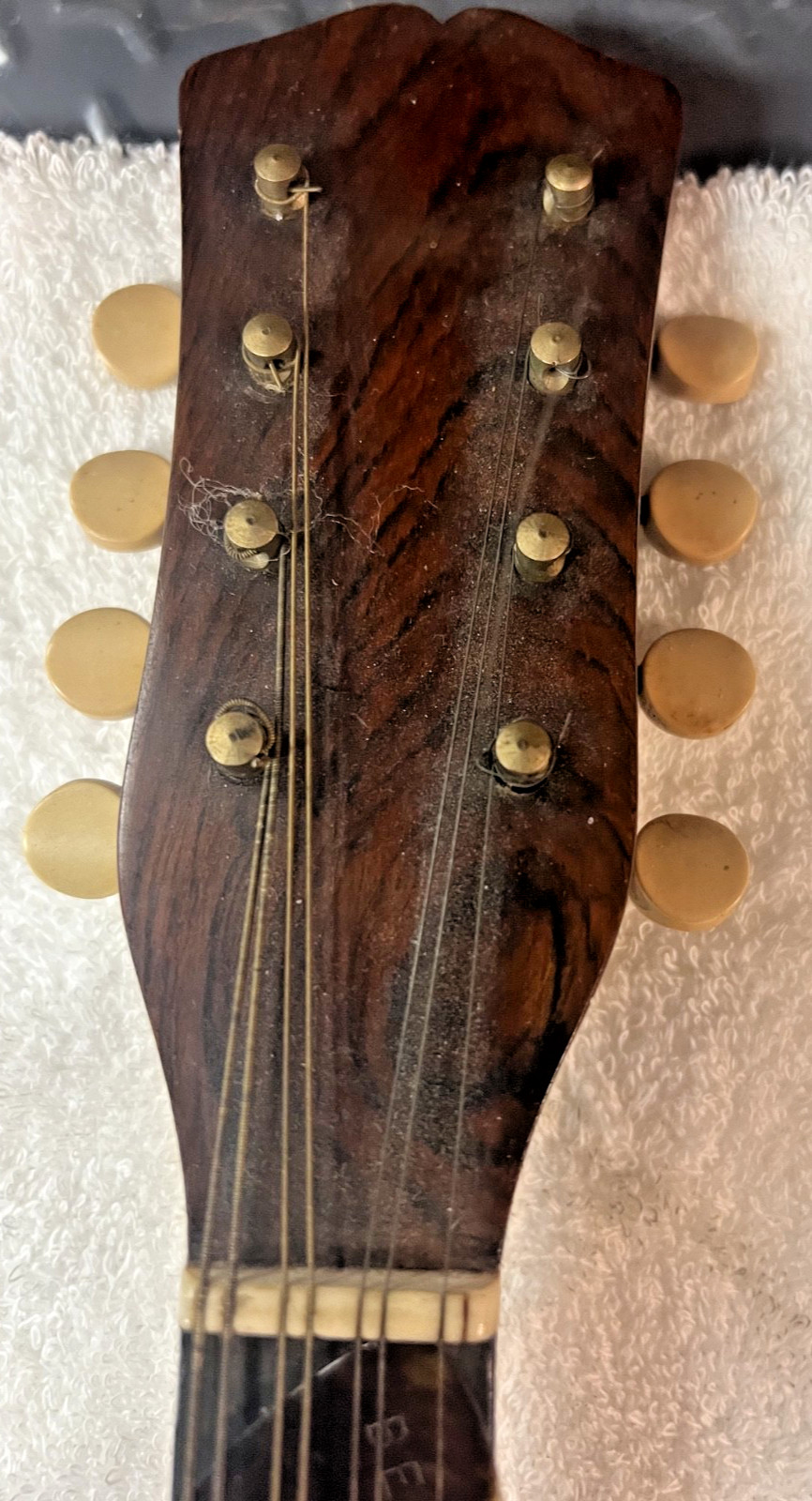 Rare 1916 Era Vega 8 String Flat Back Mandolin Serial 37302