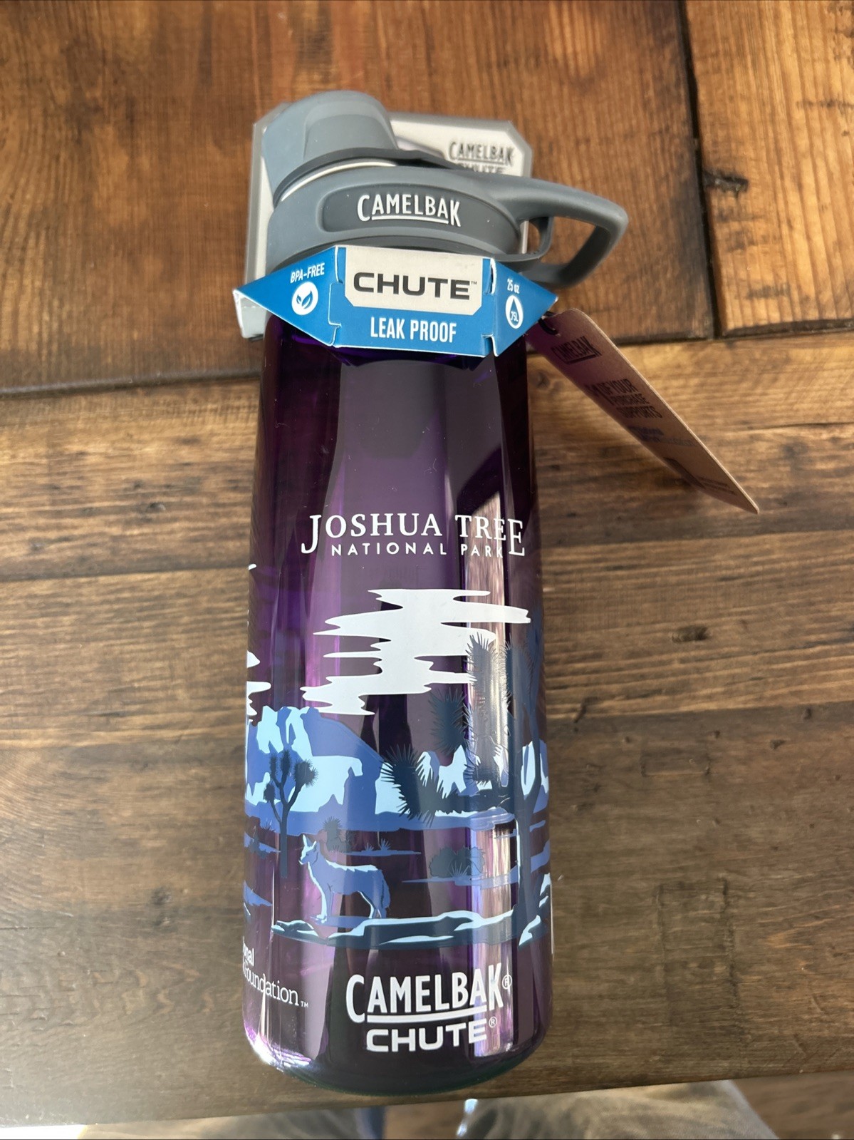 CamelBak Chute Mag Water Leak Proof  Bottle BPA/BPS/BPF Free 25oz  New NWT