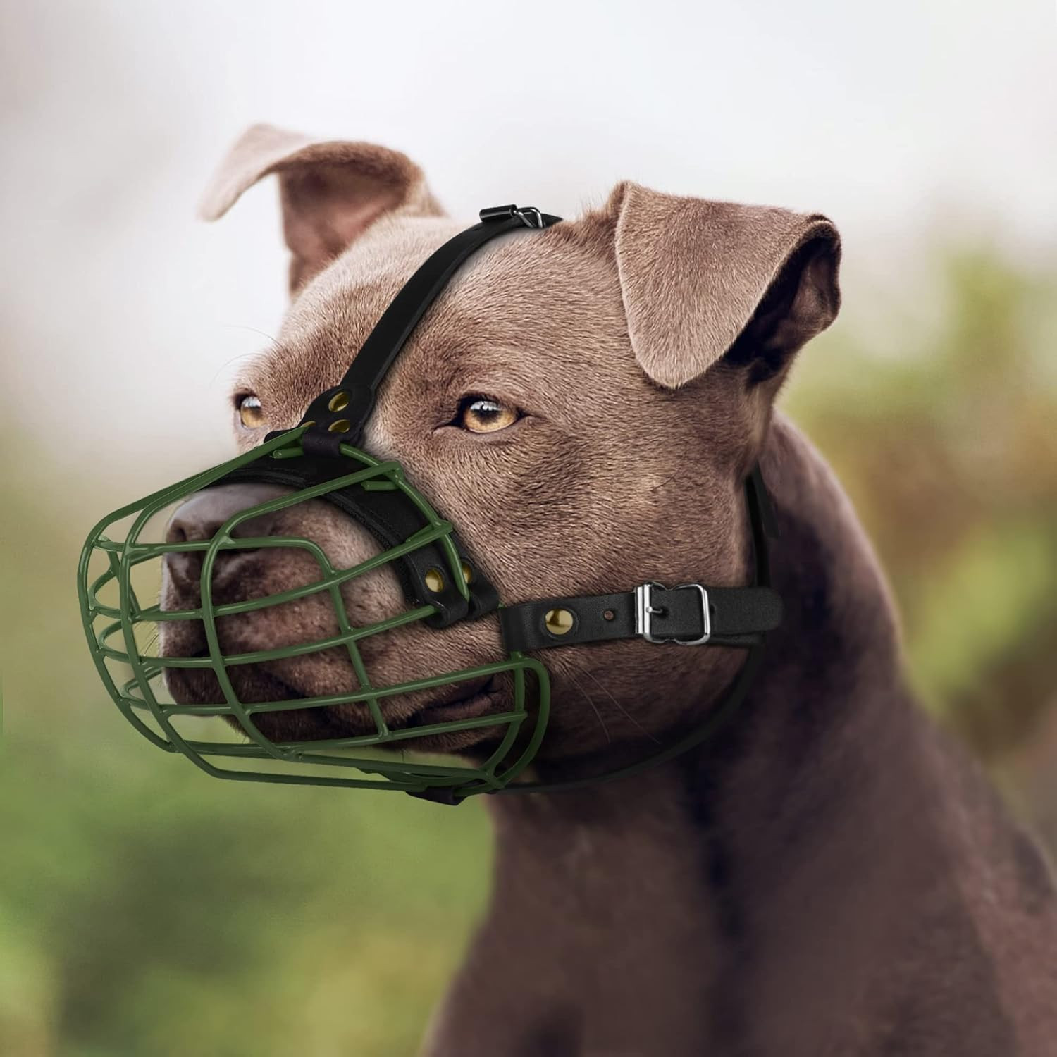 Pitbull Dog Muzzle Metal Mask Amstaff Secure Wire Basket Adjustable Durable Leat
