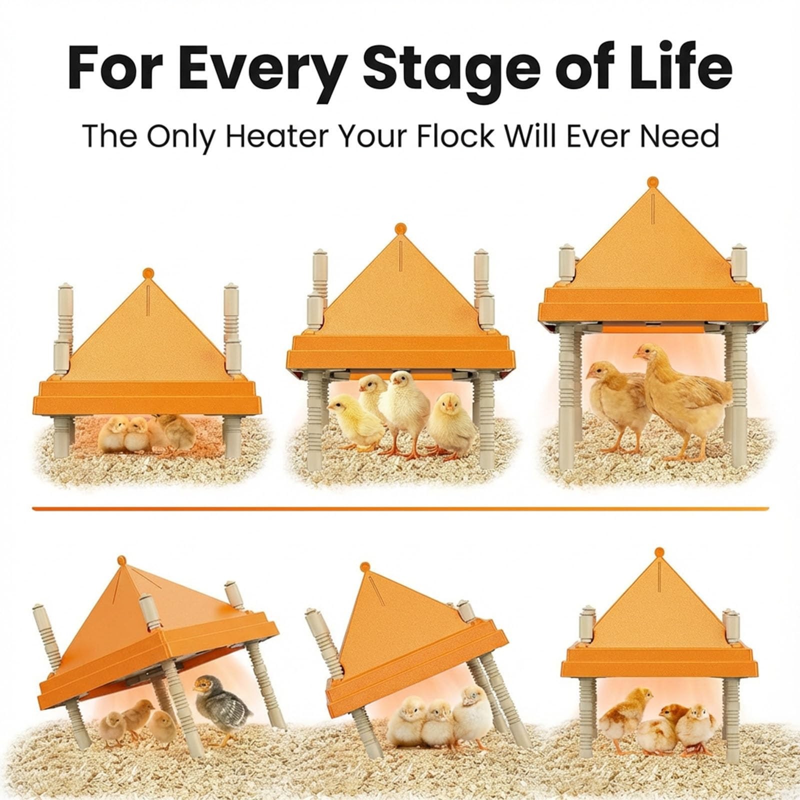 Brooder Plate for Chicks,10" x 10" Heat Plate for Chicks with Triangular Cone...
