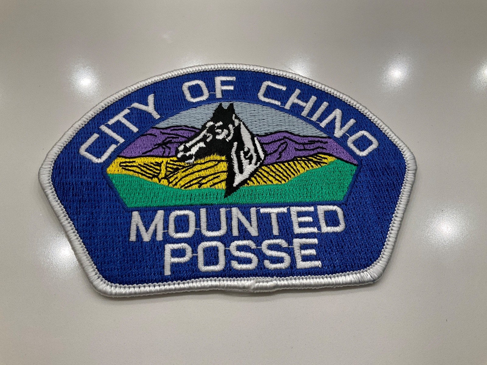 Mounted Posse Chino Police State California CA