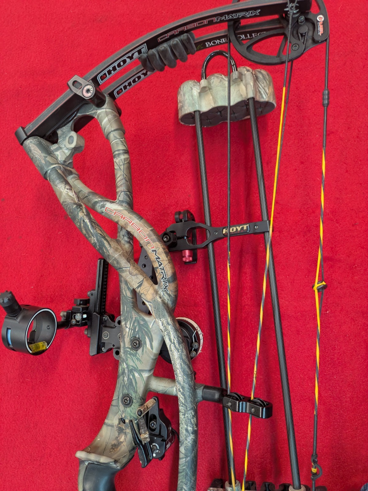 Hoyt Carbon Matrix Compound Bow