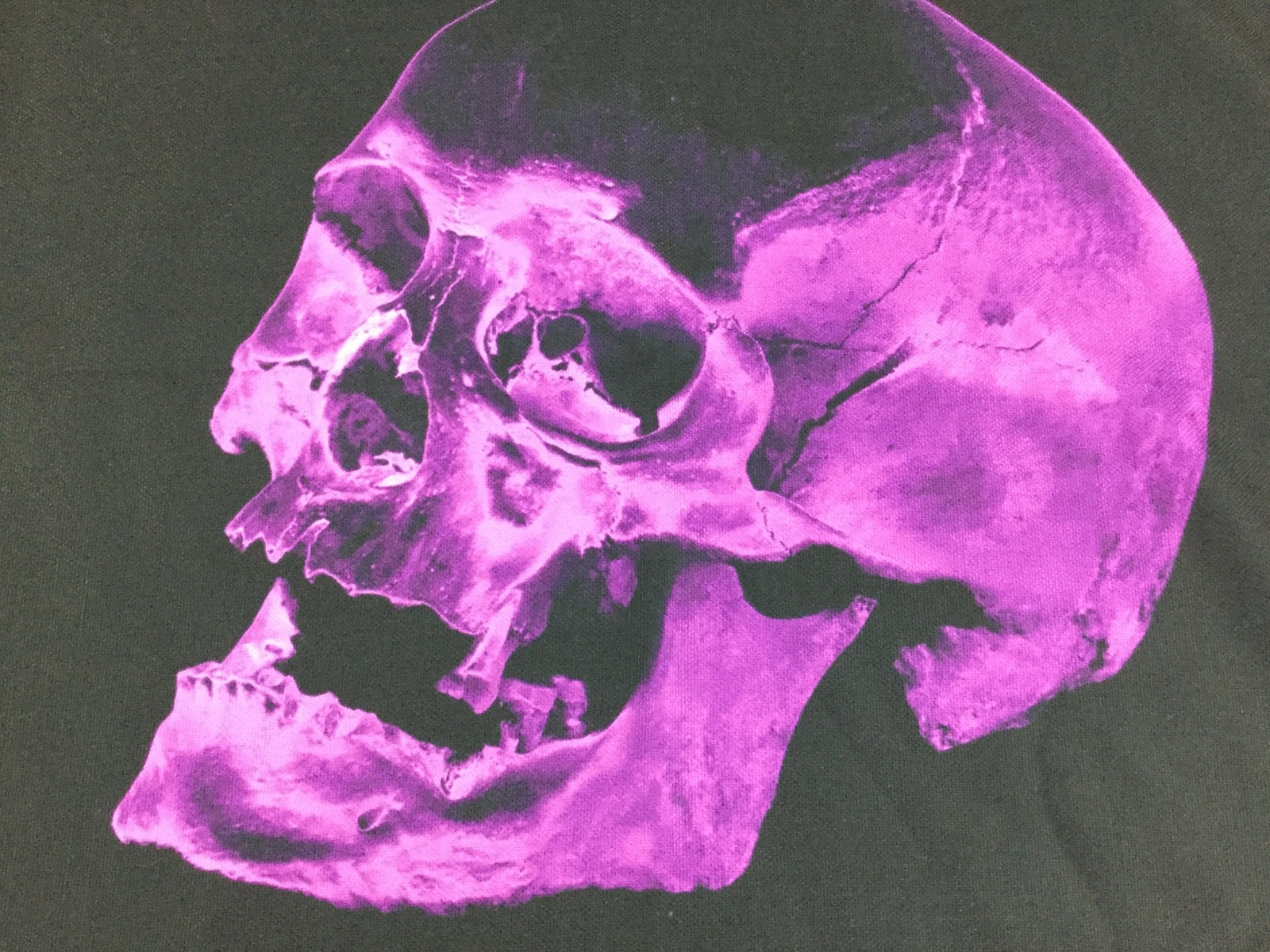 Halloween Skull Pillow Sham Euro 26x26 Black Purple Goth Polyester Twill USA New