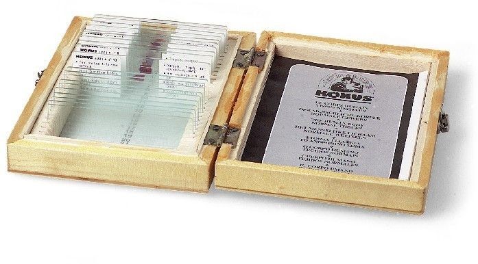 Konus Prepared Slides for Konus Kids Microscopes, Set of 10, Pathological: 4915