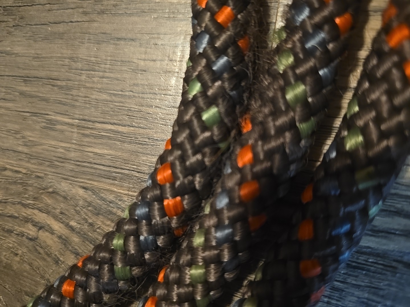 Horse Halter And Lead