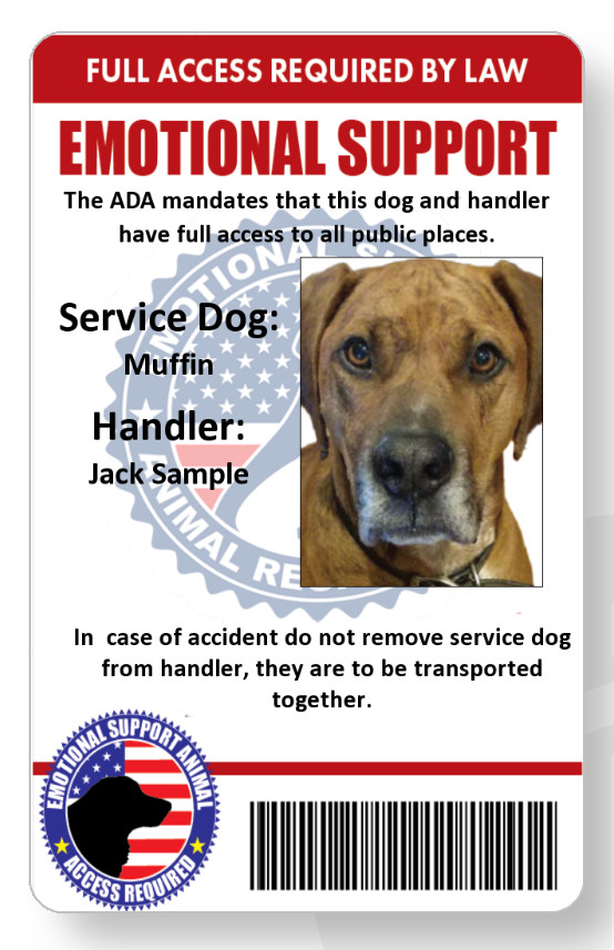 Service/emotional support dog handler ID full color  single sided FREE SHIPPING