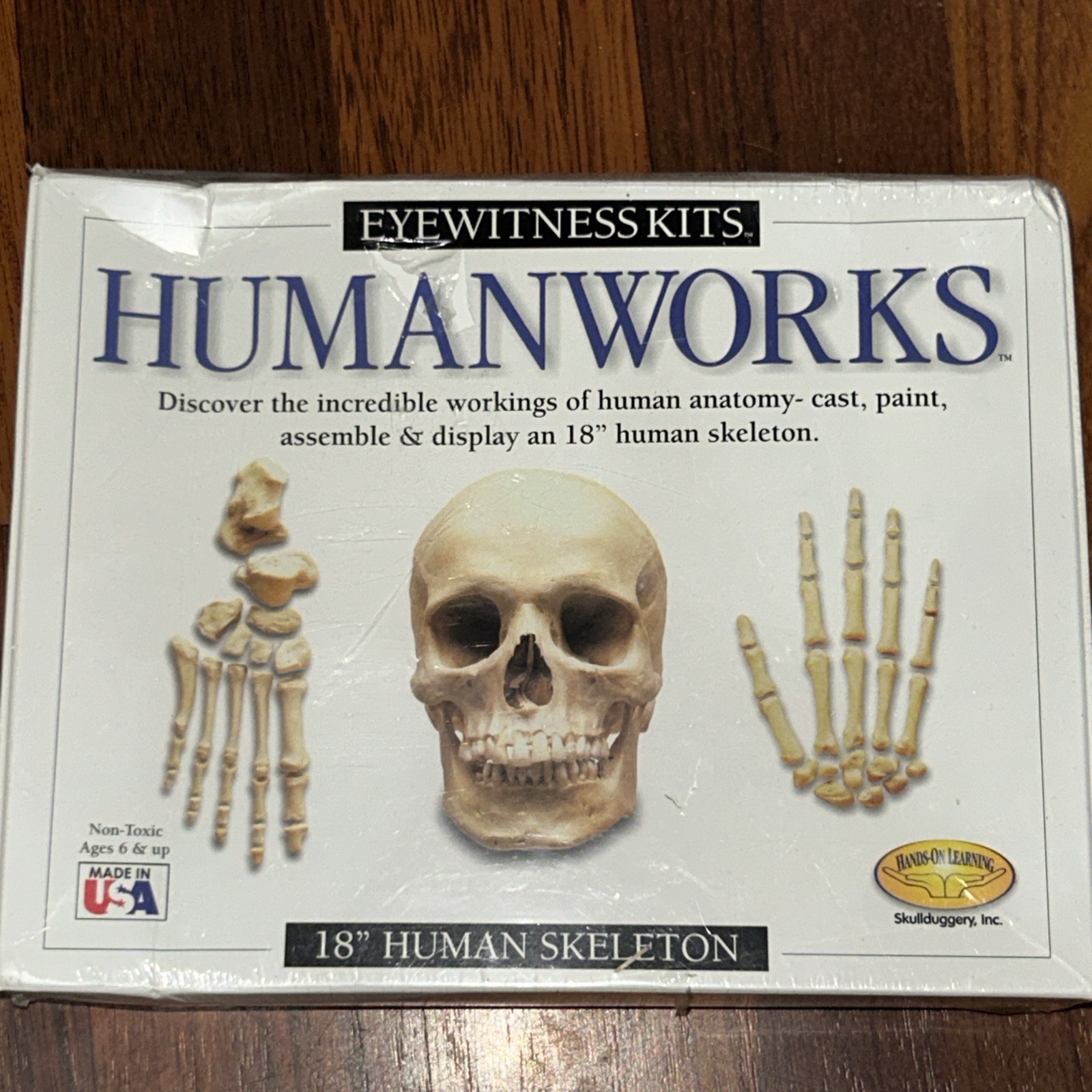 Eyewitness Human Works 18" Human Skeleton Kit Skullduggery Non-Toxic New NIP
