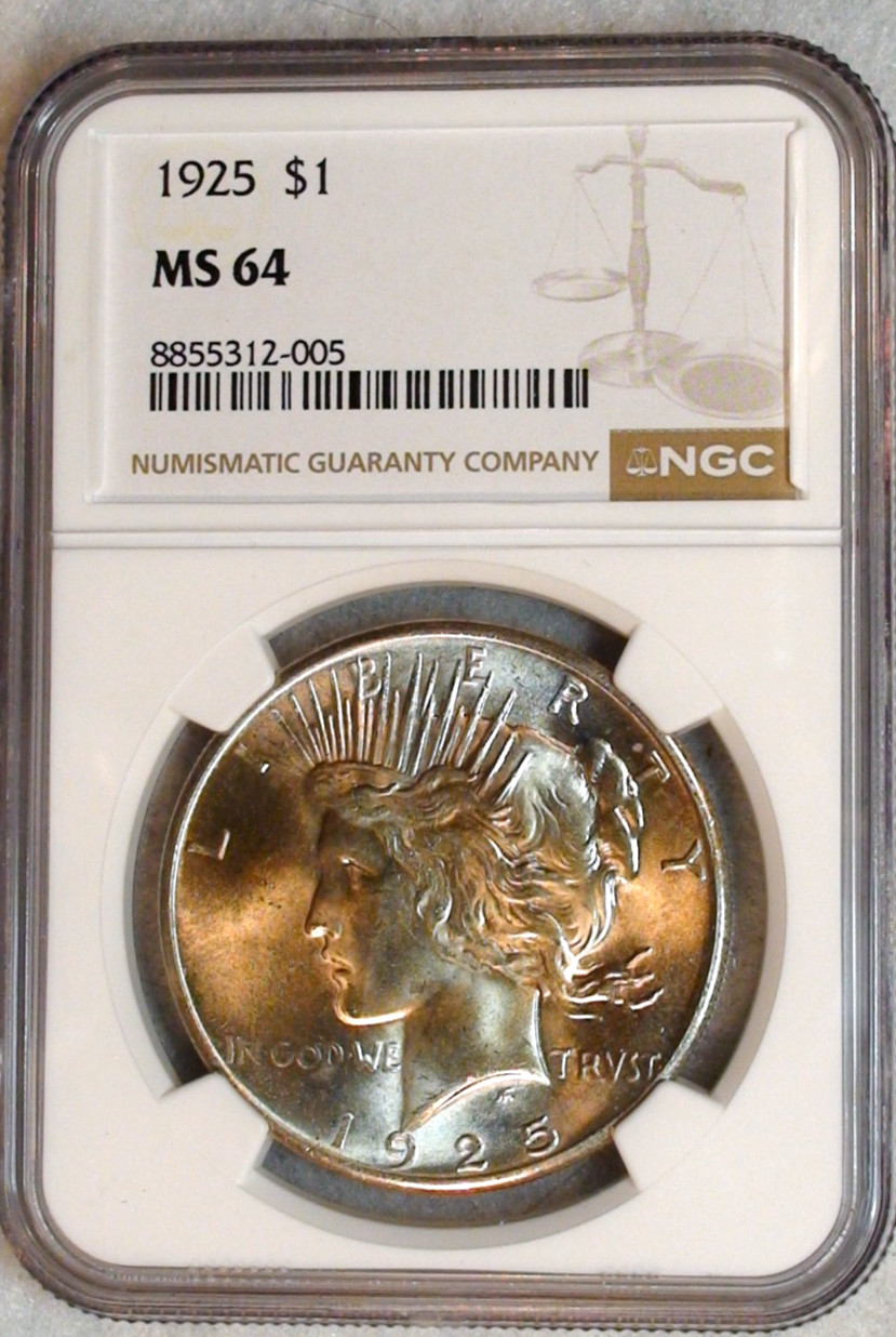 1925 P Peace Dollar NGC MS64 NEAR GEM UNCIRCULATED $1 Coin BUY IT NOW!