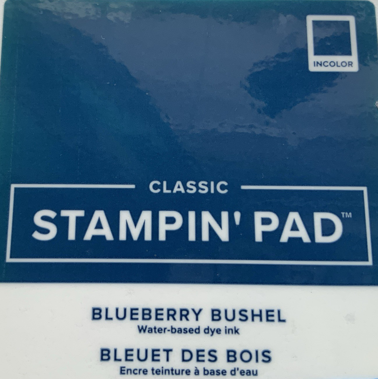 Stampin Up Ink Pad BLUEBERRY BUSHEL IN COLOR Current Case AS IS Case Dents