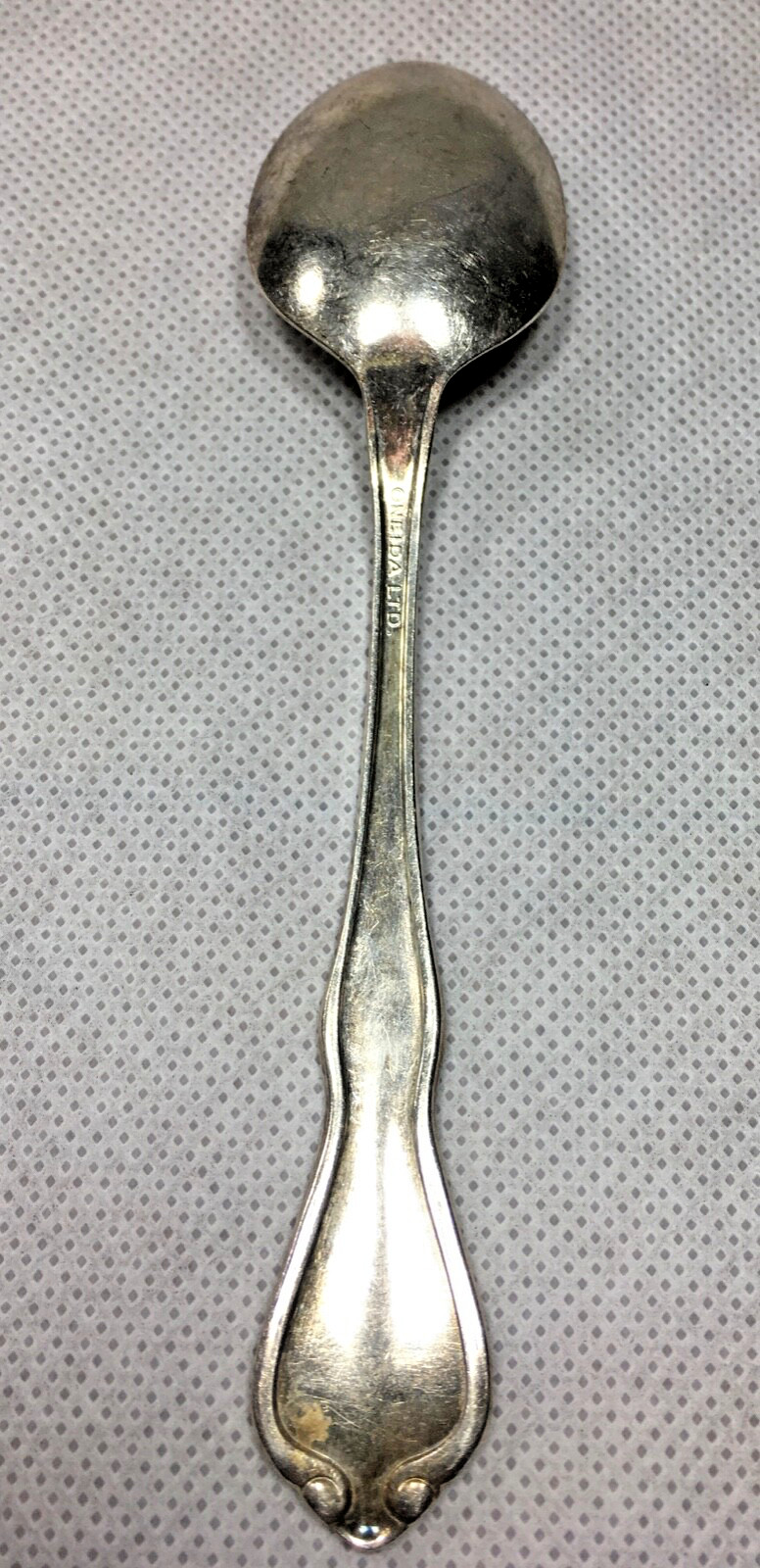Oneida Ltd Silverplate Spoon P Crown
