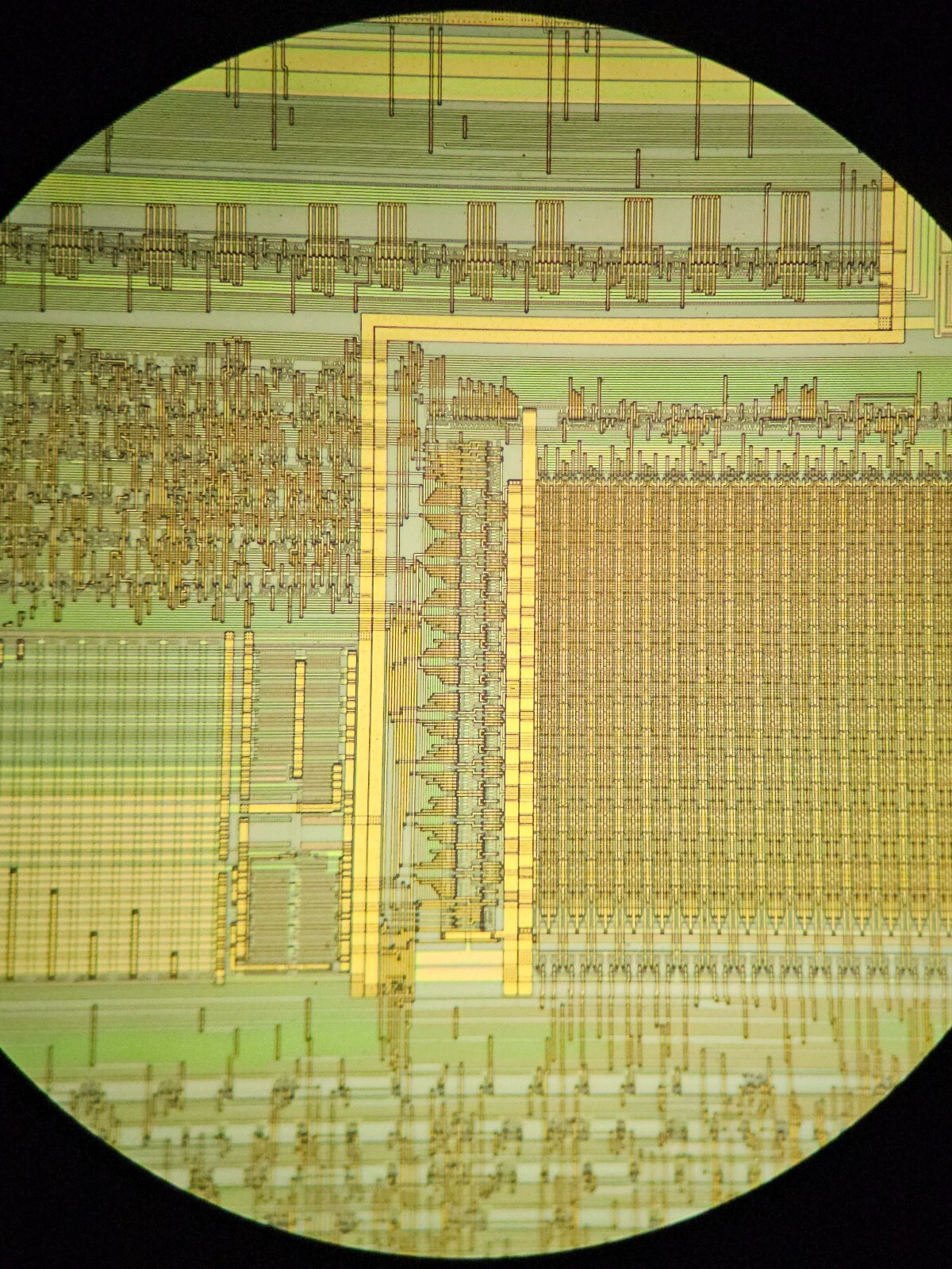 microscope slides