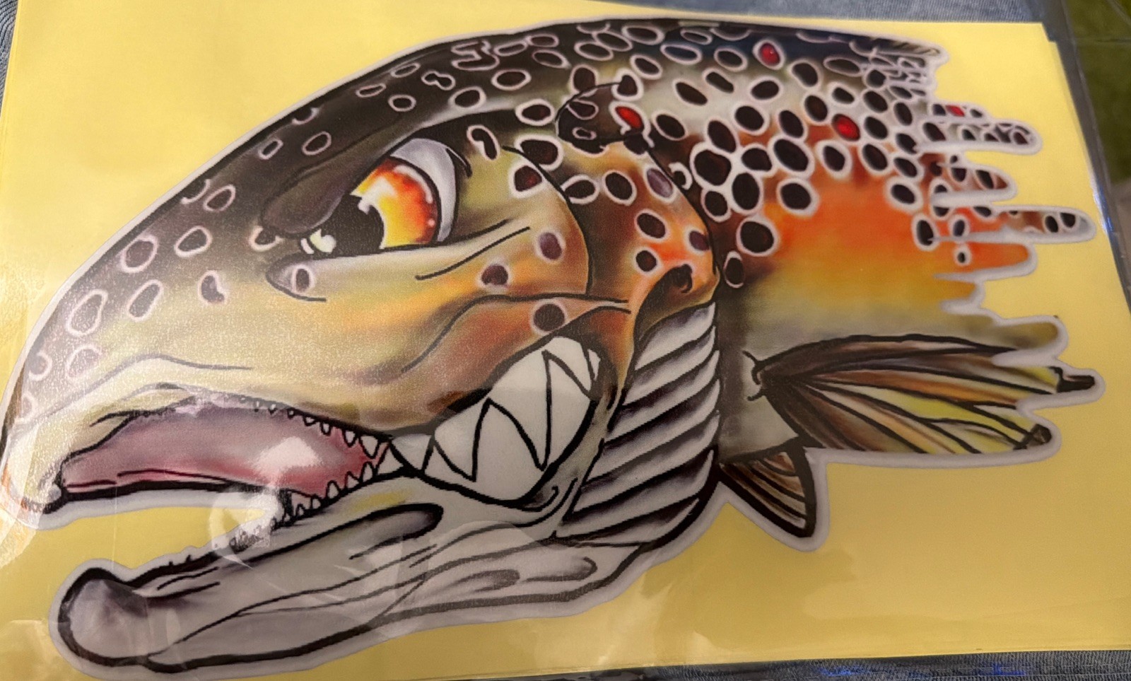 ANGRY BROWN TROUT HIGH DEFINITION STICKER DECAL 10 Inch X 6 Inch