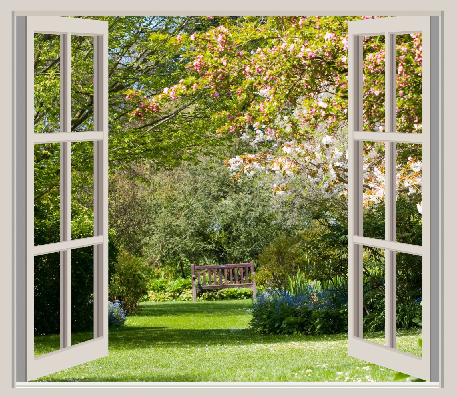 WindowsDirect.us domain name