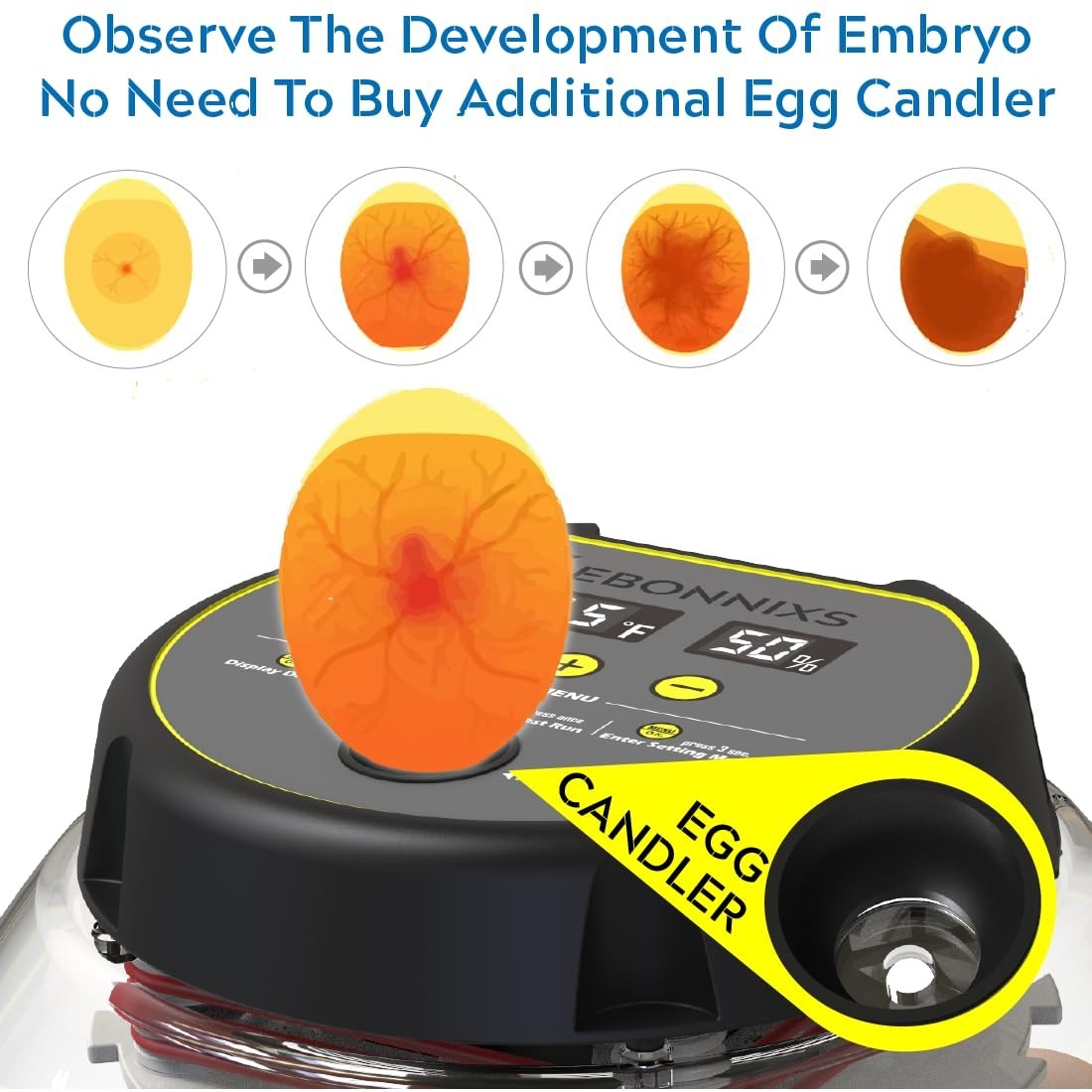 12 Egg Incubator with Humidity Display, Automatic Egg Turner, Built-in Egg Ca...