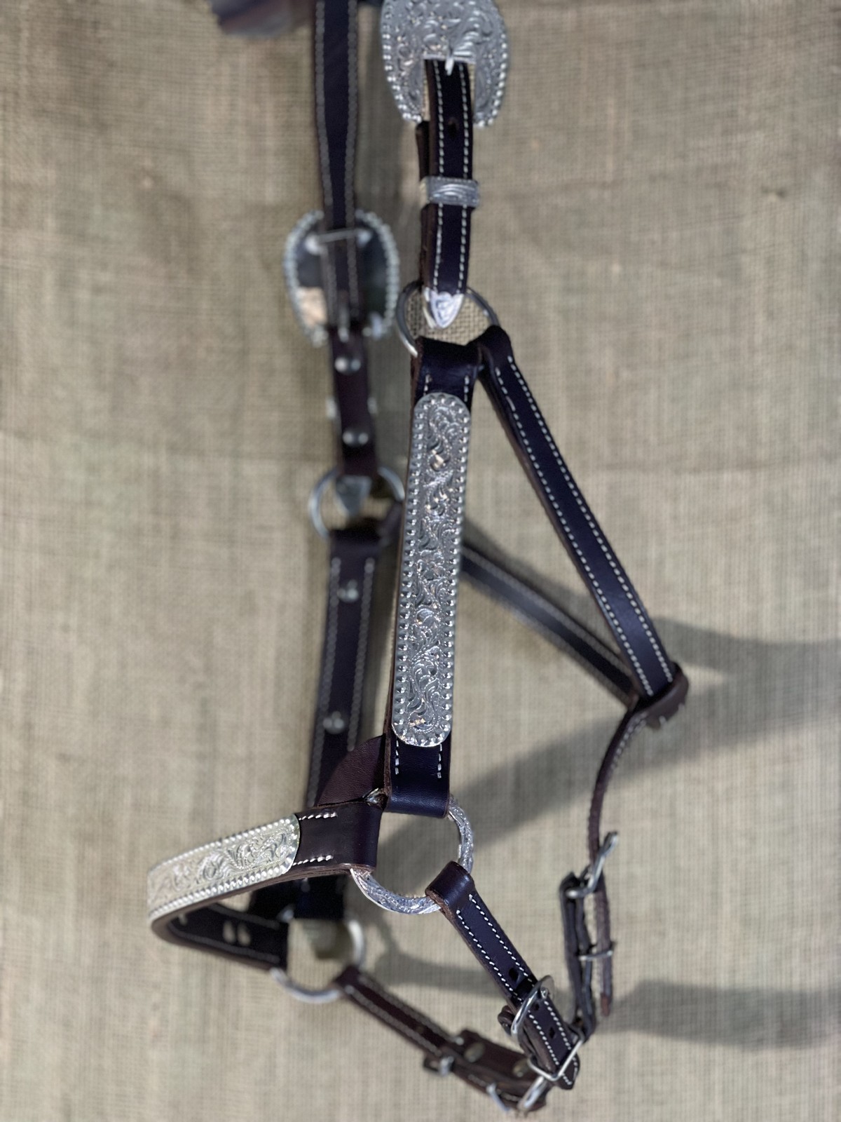 Hudson Show Halter-Yearling