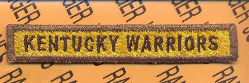 243rd Armored "KENTUCKY WARRIORS" TANK TAB patch