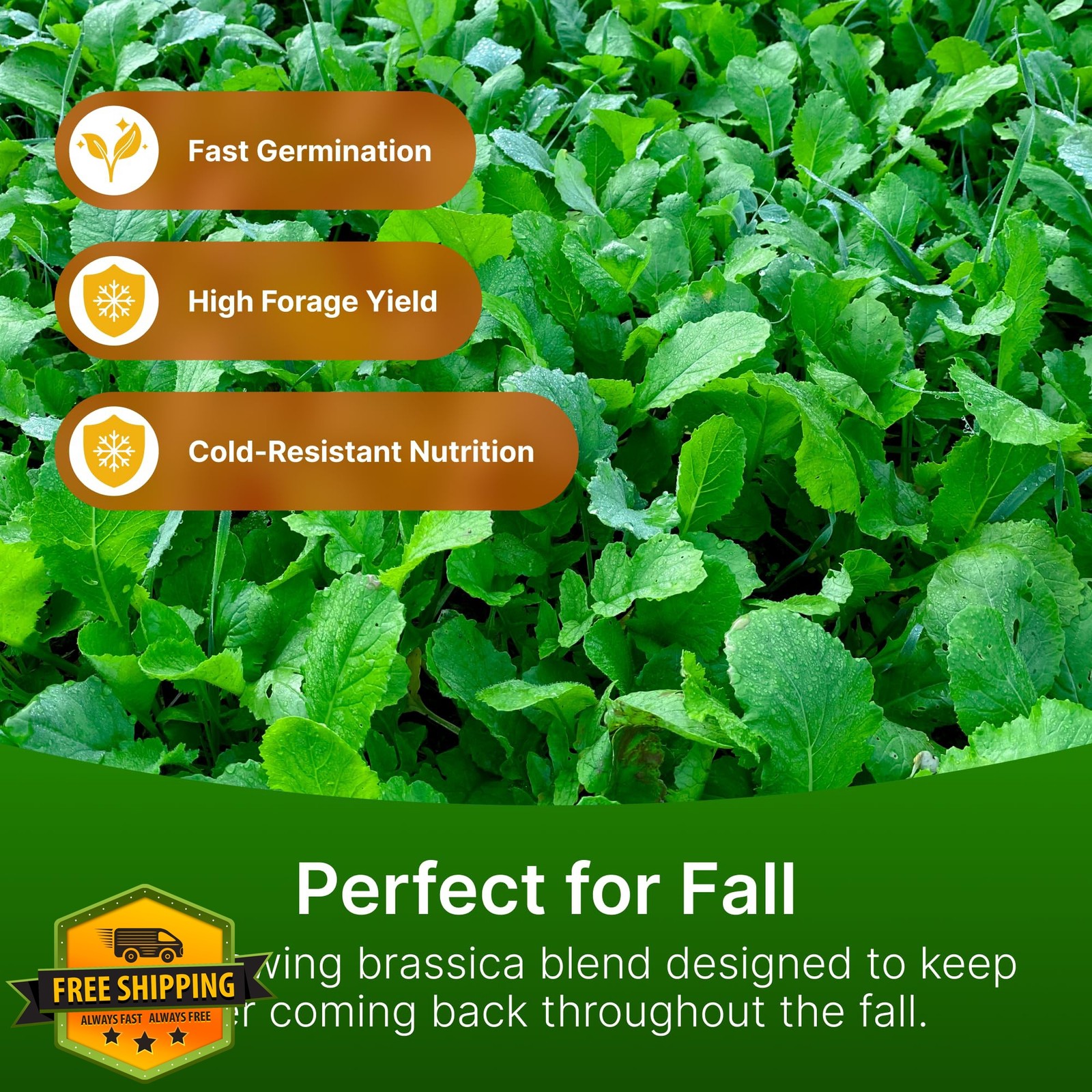 Hit List Seed Food Plot Seed 1 Acre 6 lbs