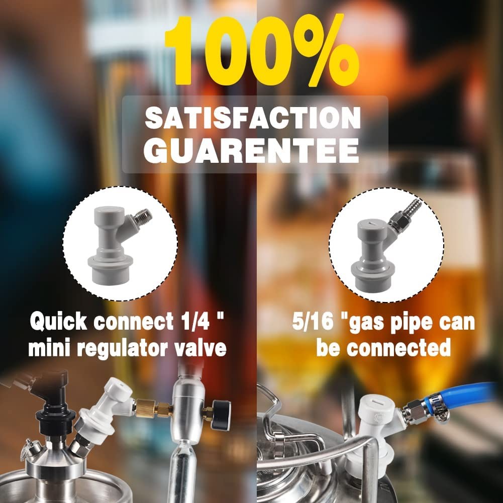 Ball Lock MFL Quick Disconnects for Gas & Liquid - 2 Pair Set