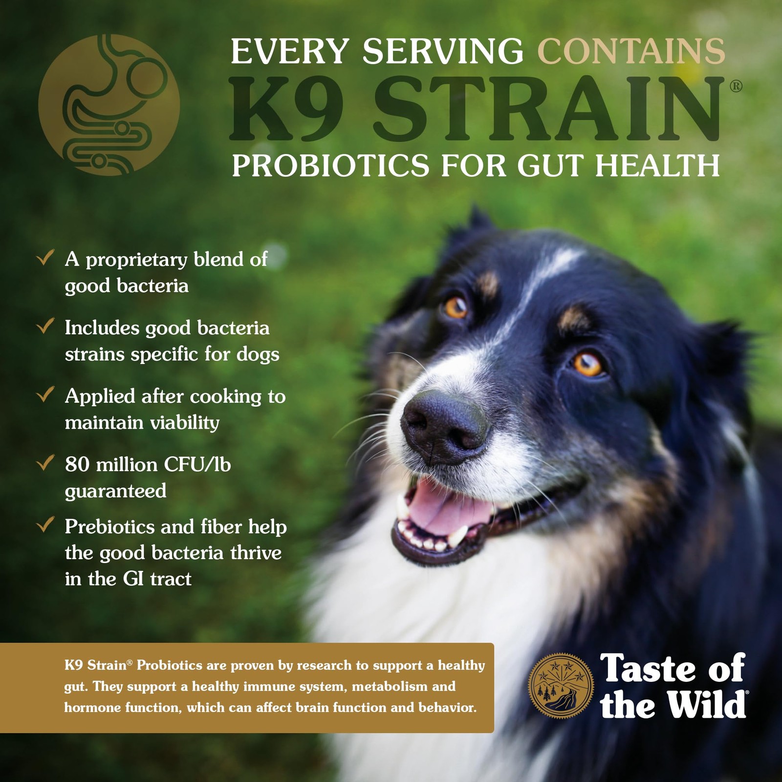 Taste of the Wild Appalachian Valley Small Breed Grain-Free Roasted Venison Dog