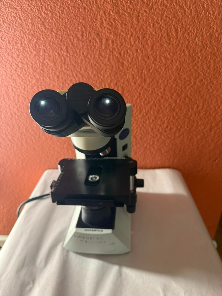 Olympus CX31RBSF Binocular Biological Compound Microscope