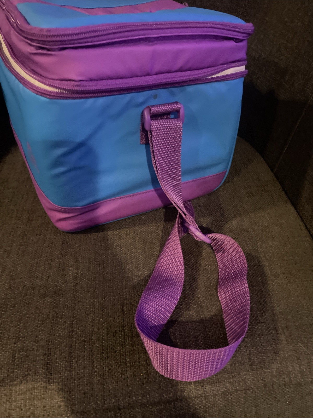 Igloo Collapsible And Cool Lunch Bag Cooler, Separate Snack And Sandwich Mint