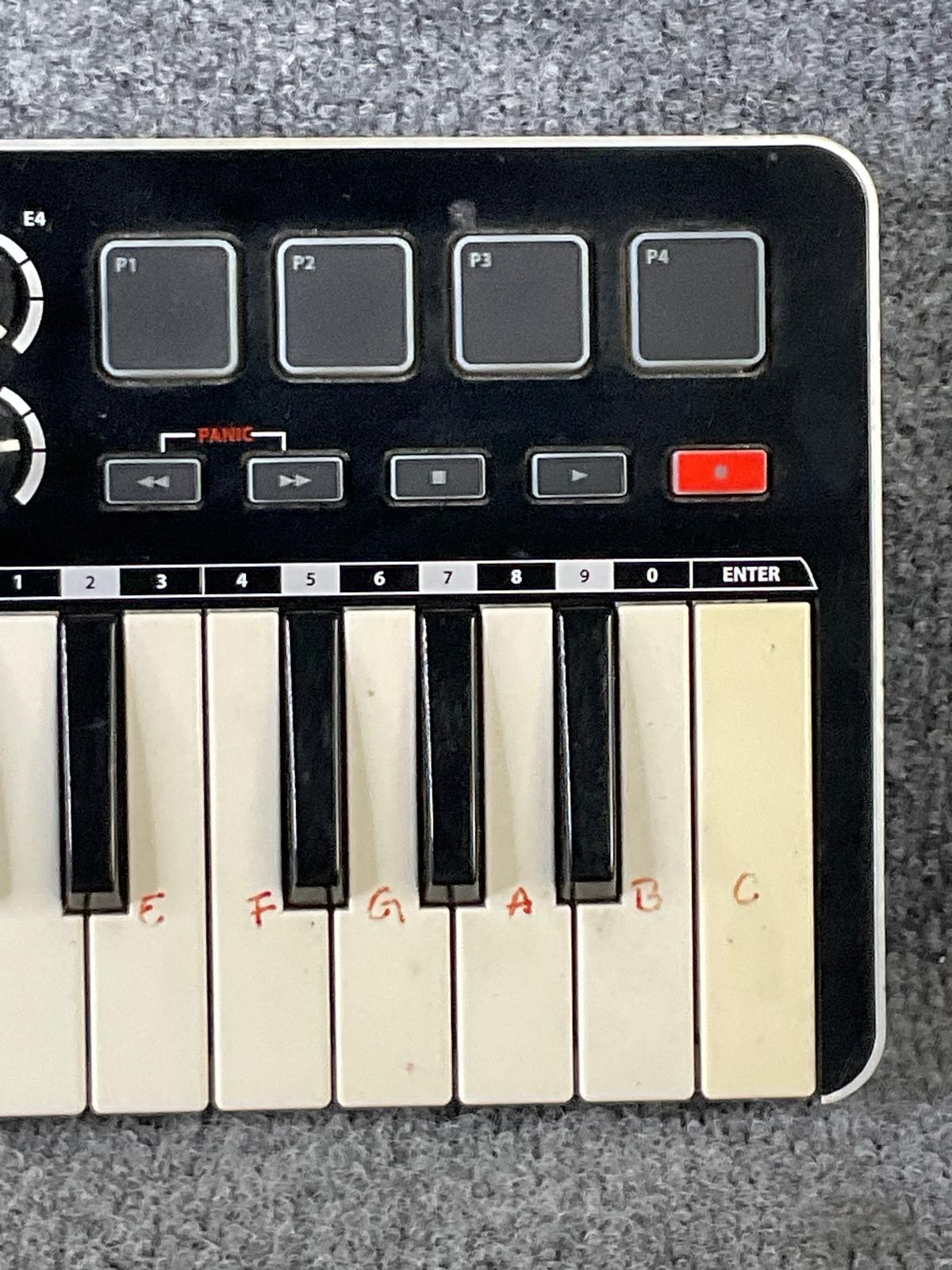 Samson Graphite M25 25-Key USB MIDI Controller Keyboard Used
