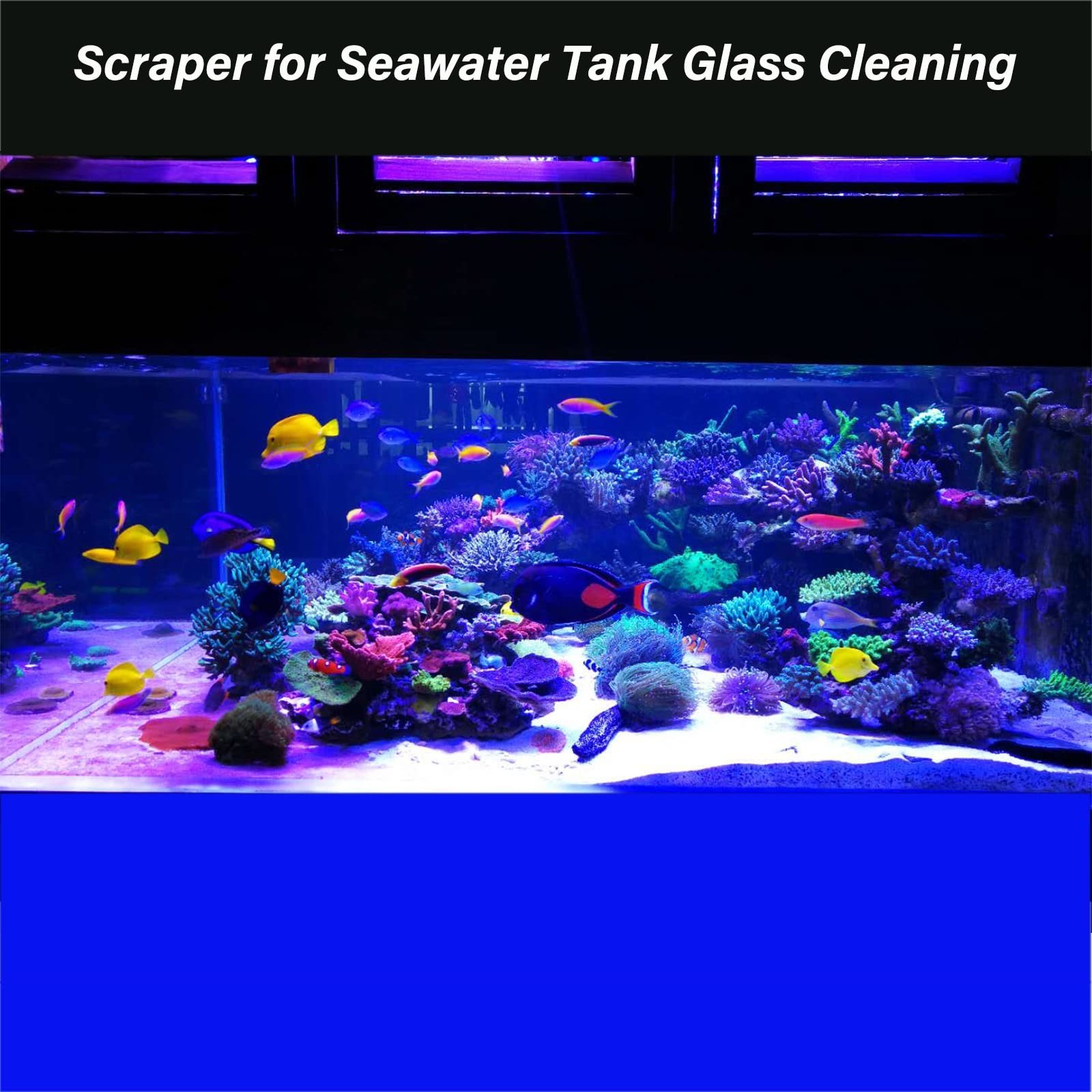 Vimvins Algae Scraper for Glass Aquarium, Long Handle Fish Tank Algae Scraper...