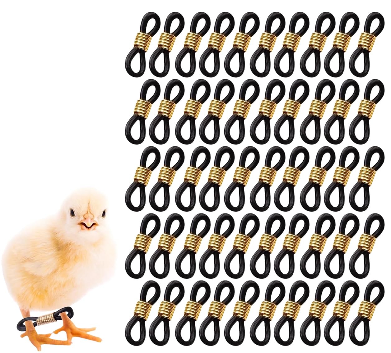 50 Sets Baby Chick Splay Leg Hobble Brace Leg Bracelet Hobbling Adjustable Poult
