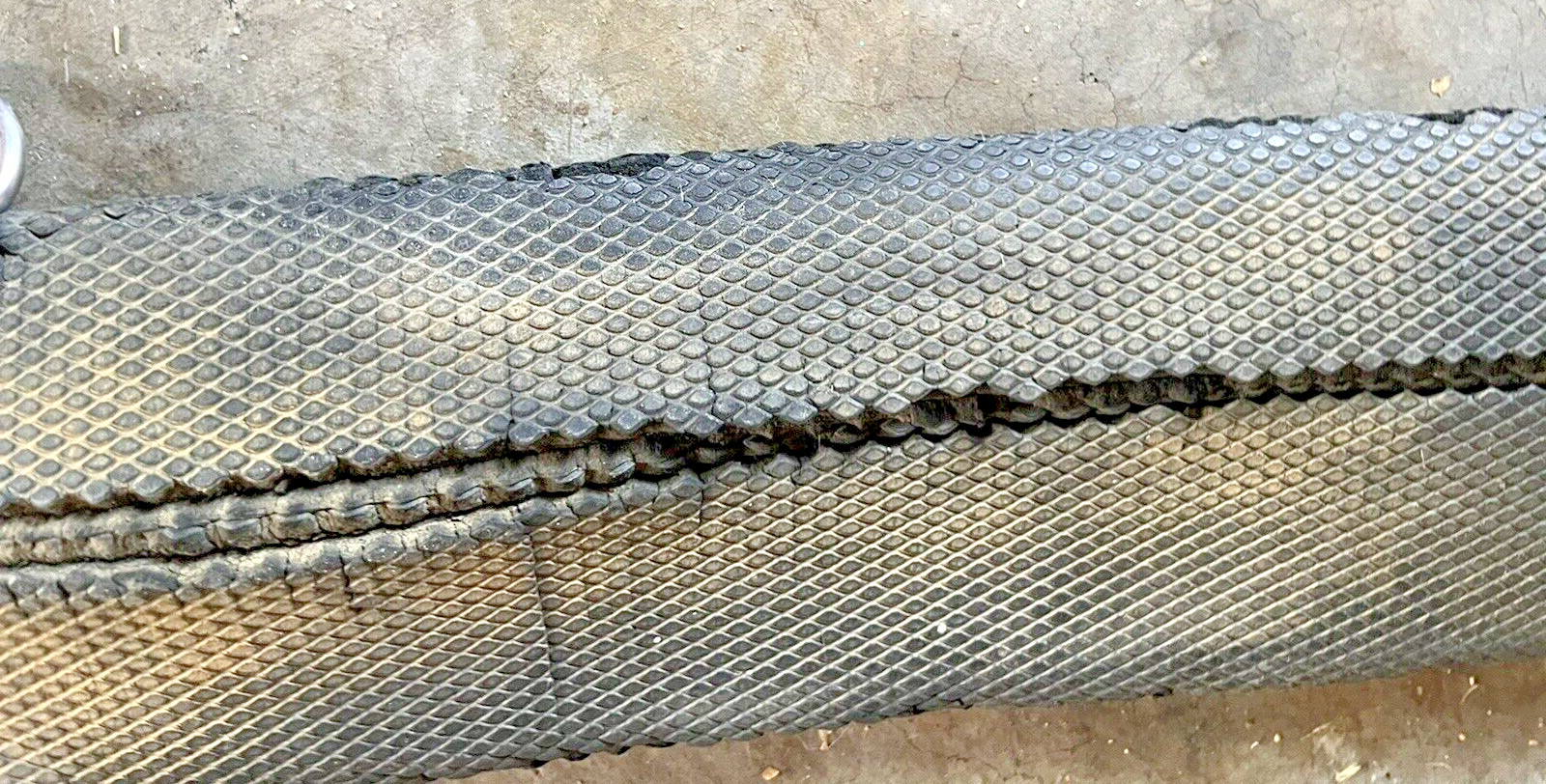 Western Neoprene Cinch 34"
