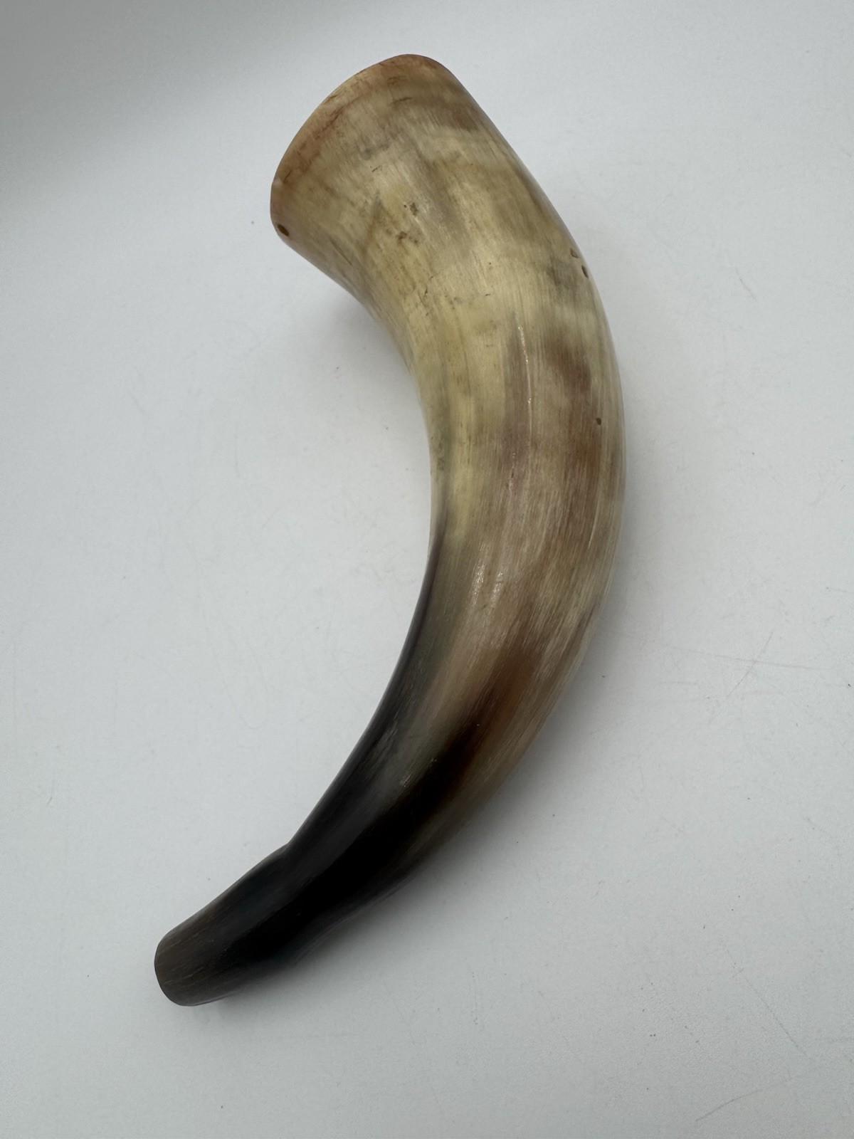 10 Inch Vintage BULL HORN - GUN POWDER HORN