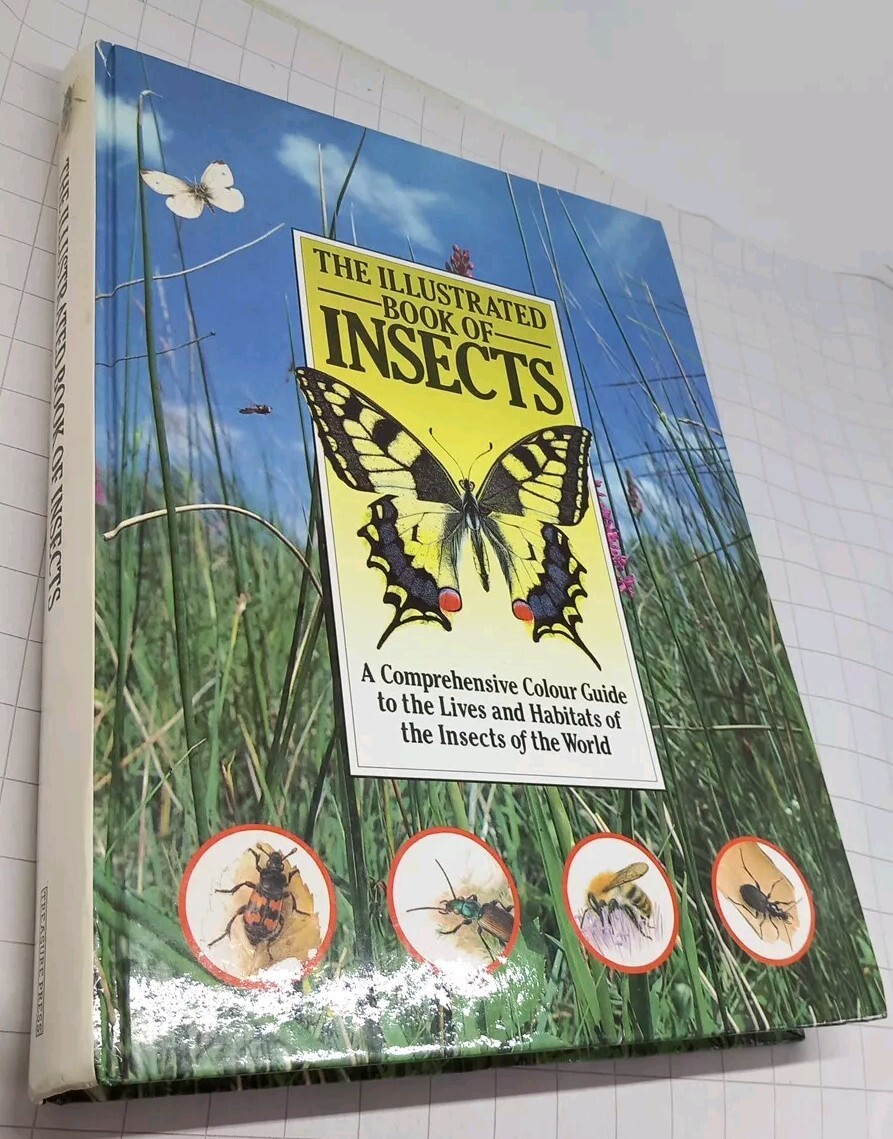 1991 Illustrated Book of Insects by Jiri Zahradnik Hardcover