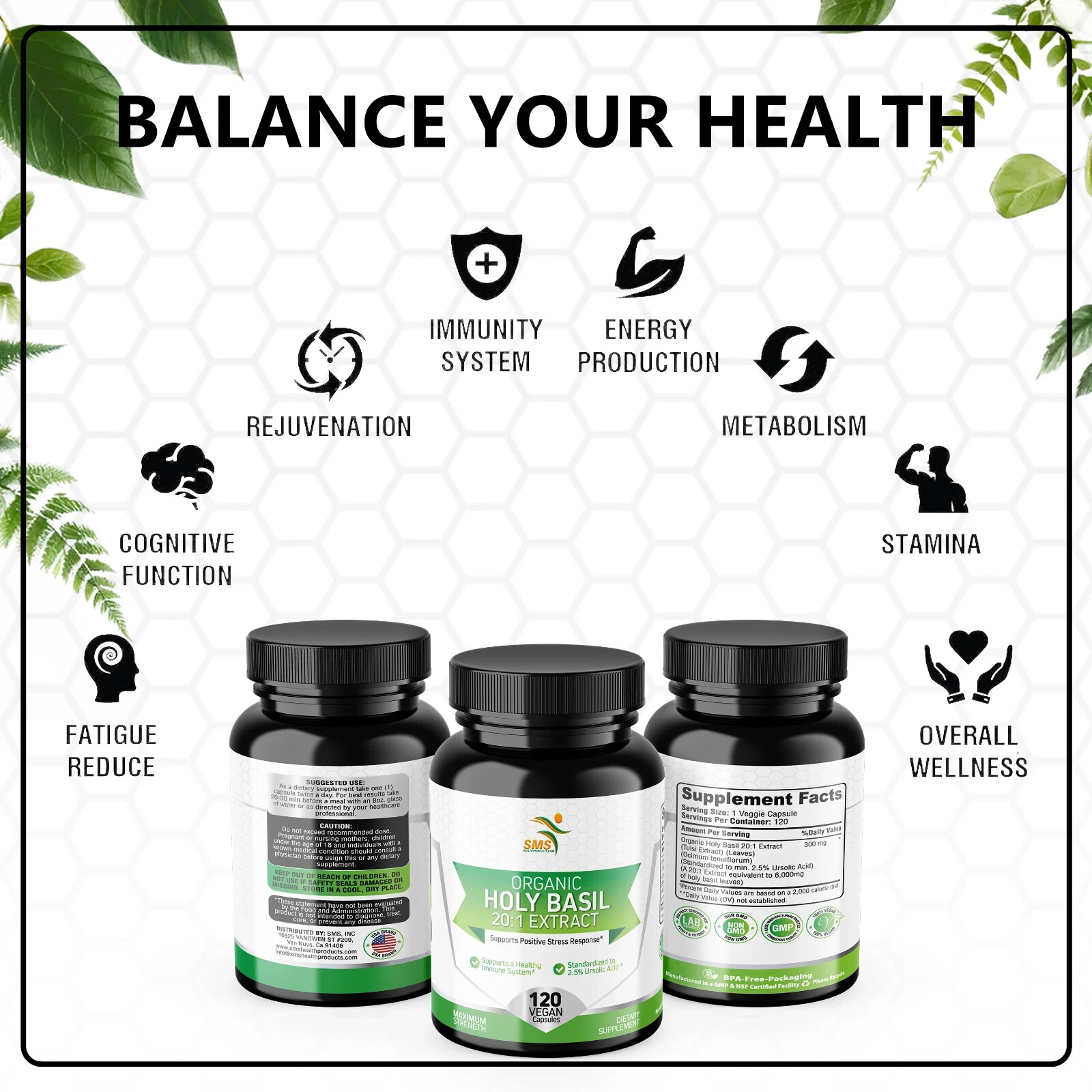 Holy Basil 20:1 Extract 2.5% Ursolic Acid Organic 120 Veg Capsules Made in USA