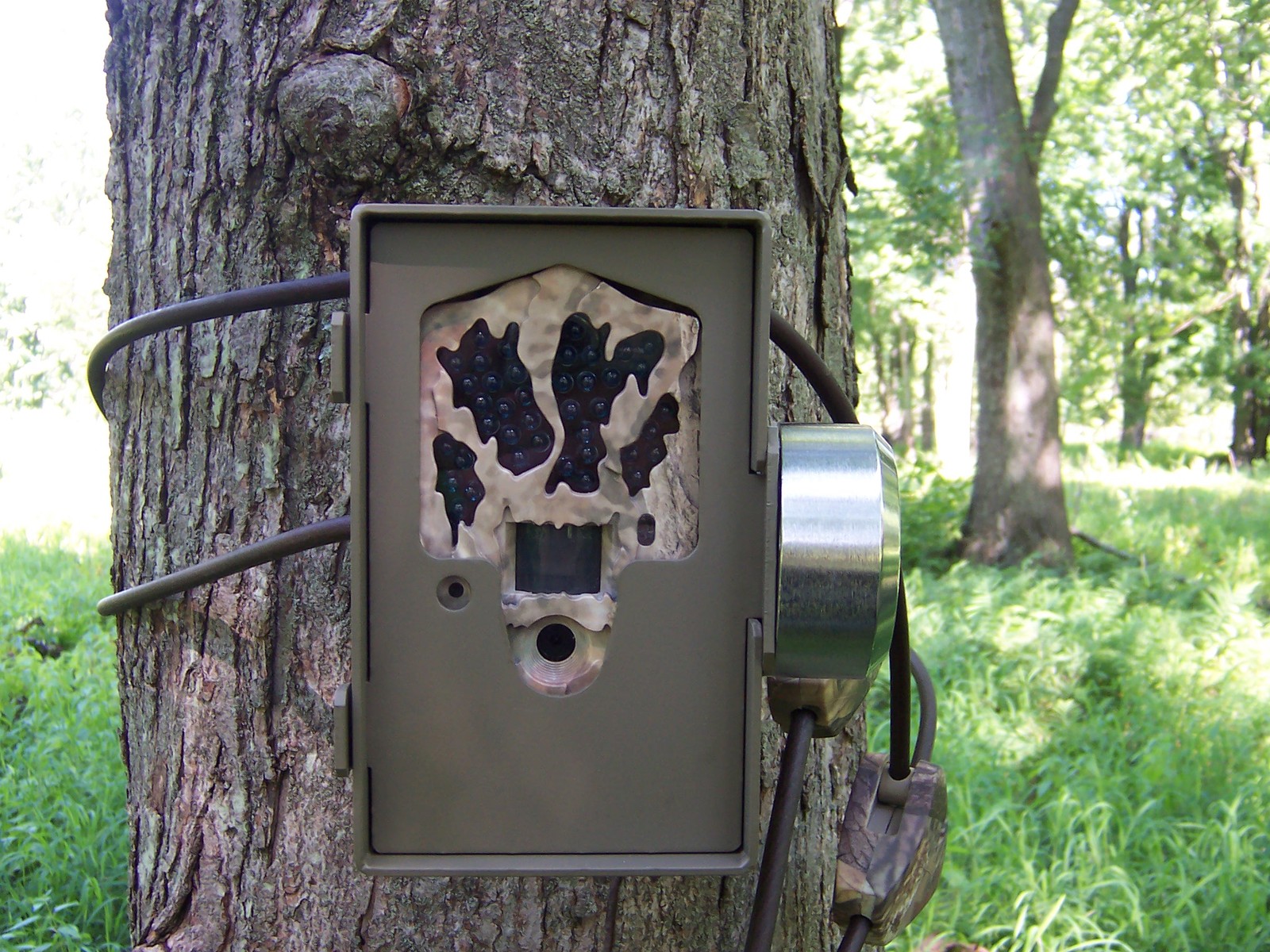 Cabelas Outfitter Series Bearsafe Security Box Made In USA