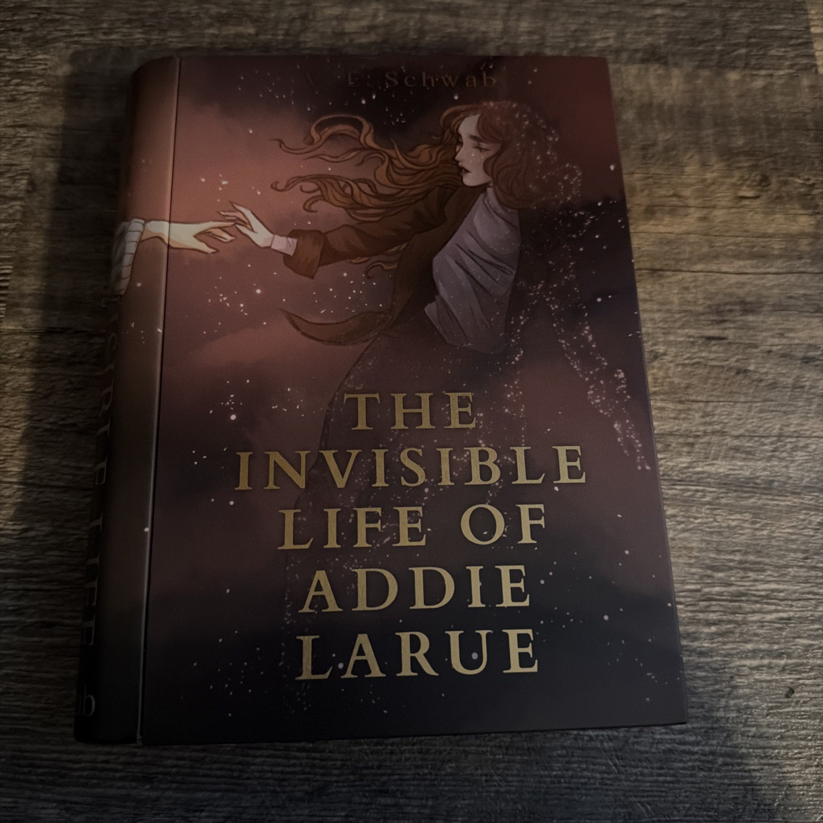 The Invisible Life of Addie LaRue  V.E. Schwab Inspired Book Tin  Bookish Box