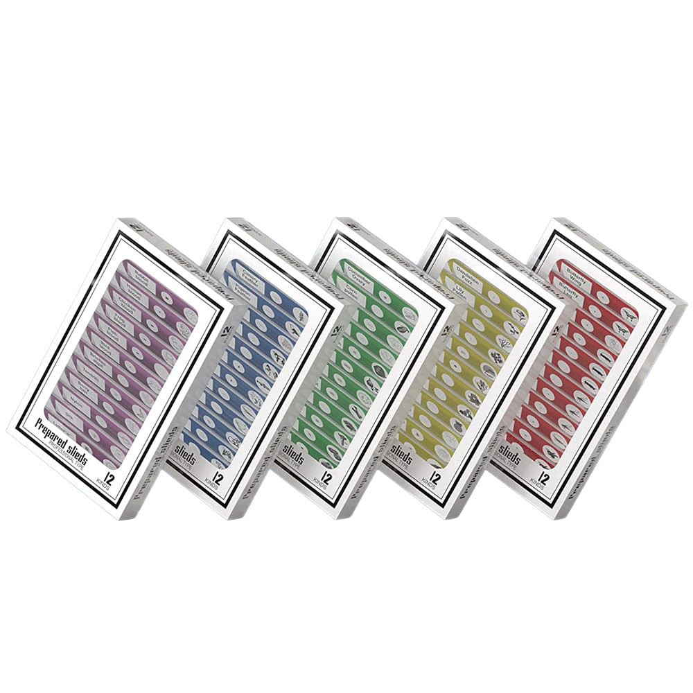 60Pcs Prepared Microscope Slides Specimen Animals Insects Plants Flowers Samp...