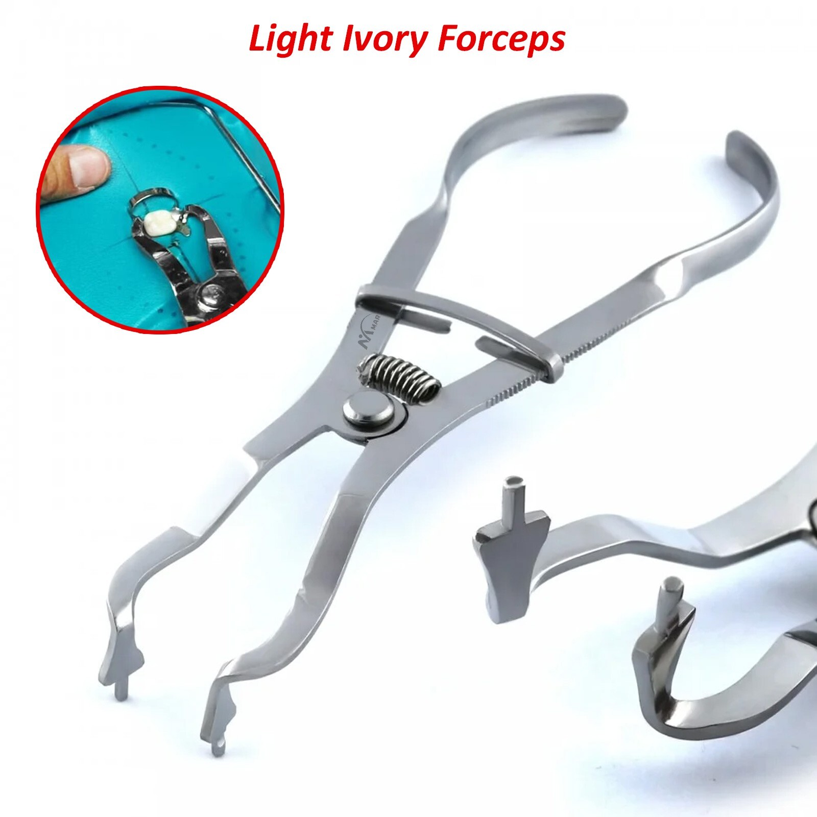 Dam Clamp Forceps Light Weight Dental Ivory Rubber Restorative Endo Instruments
