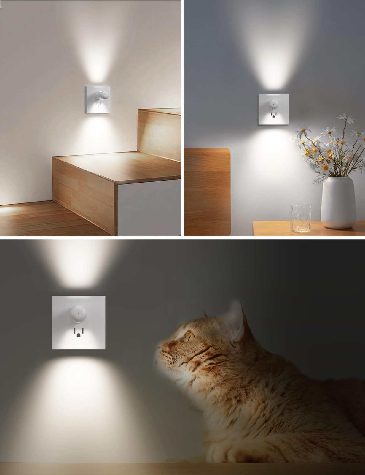 6 Pack LED Night light plug into wall Plug in Night Light, Automatic Dusk to ...
